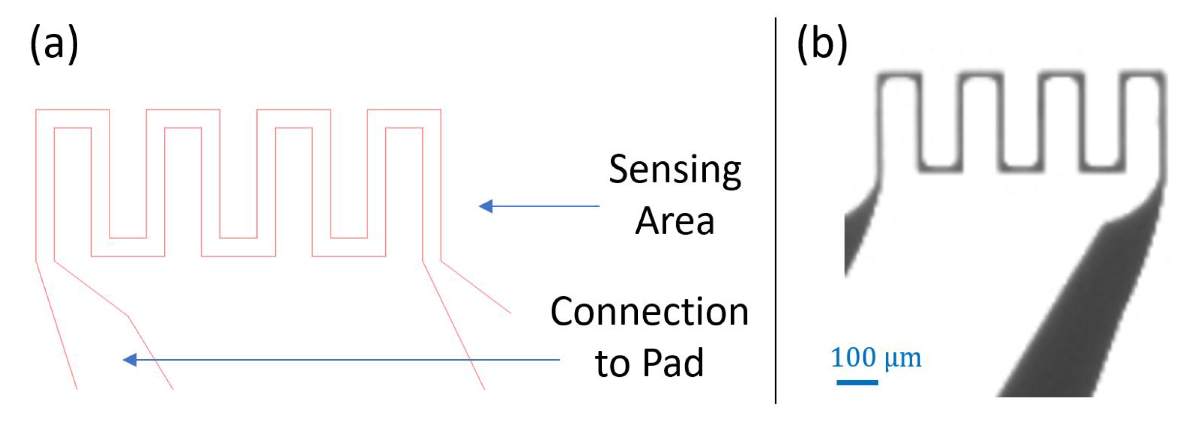 Sensors 21 00318 g013