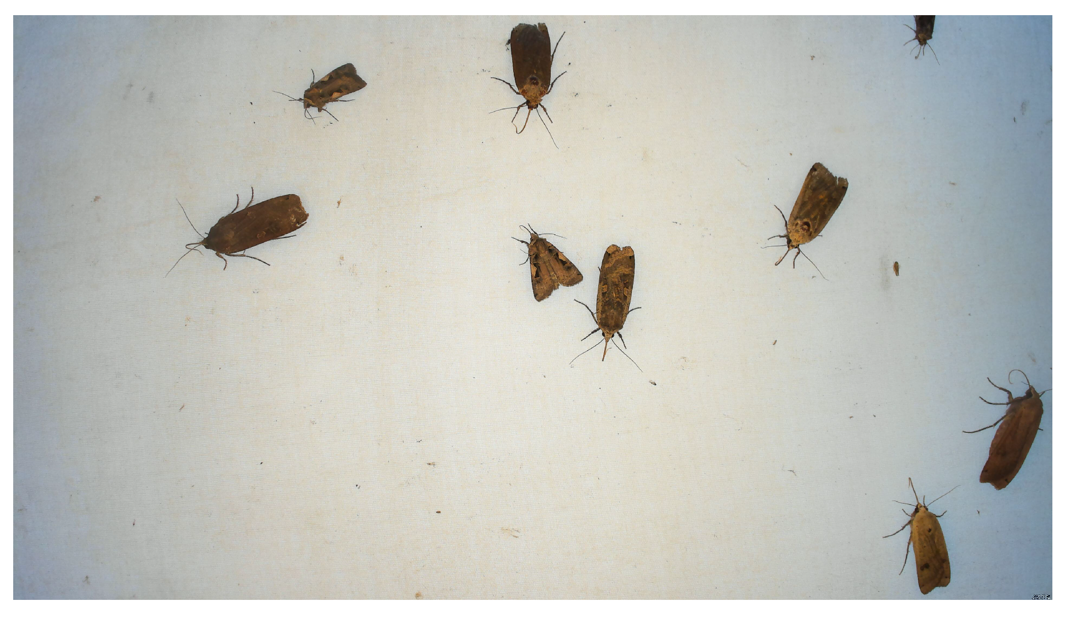 Sensors 21 00343 g002