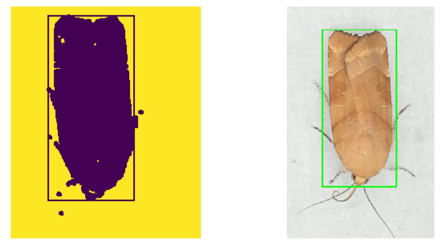 Sensors 21 00343 g004