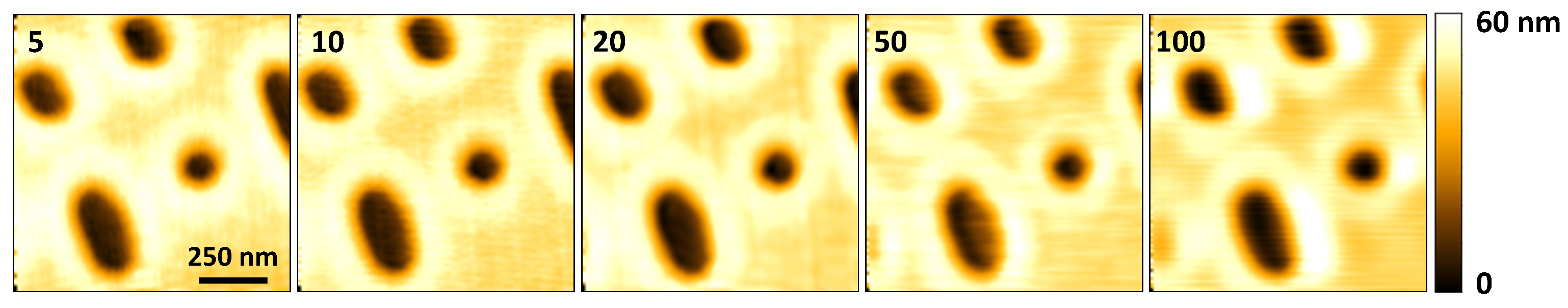 Sensors 21 00362 g006 Sensors 21 00362 g006