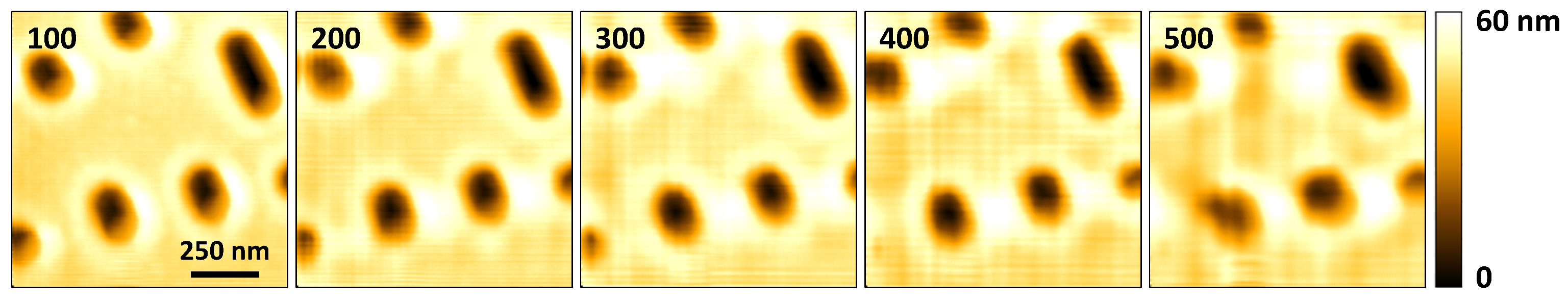Sensors 21 00362 g007 Sensors 21 00362 g007