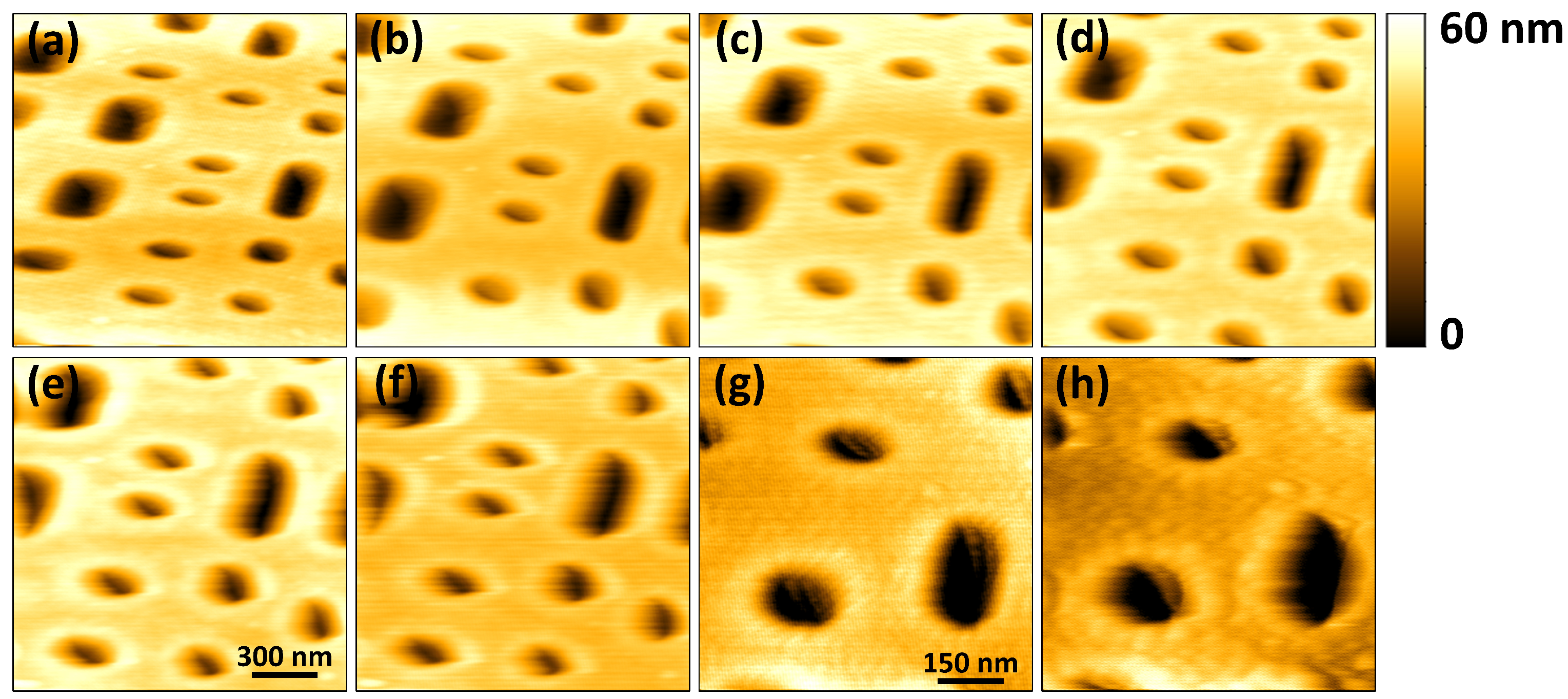 Sensors 21 00362 g009 Sensors 21 00362 g009