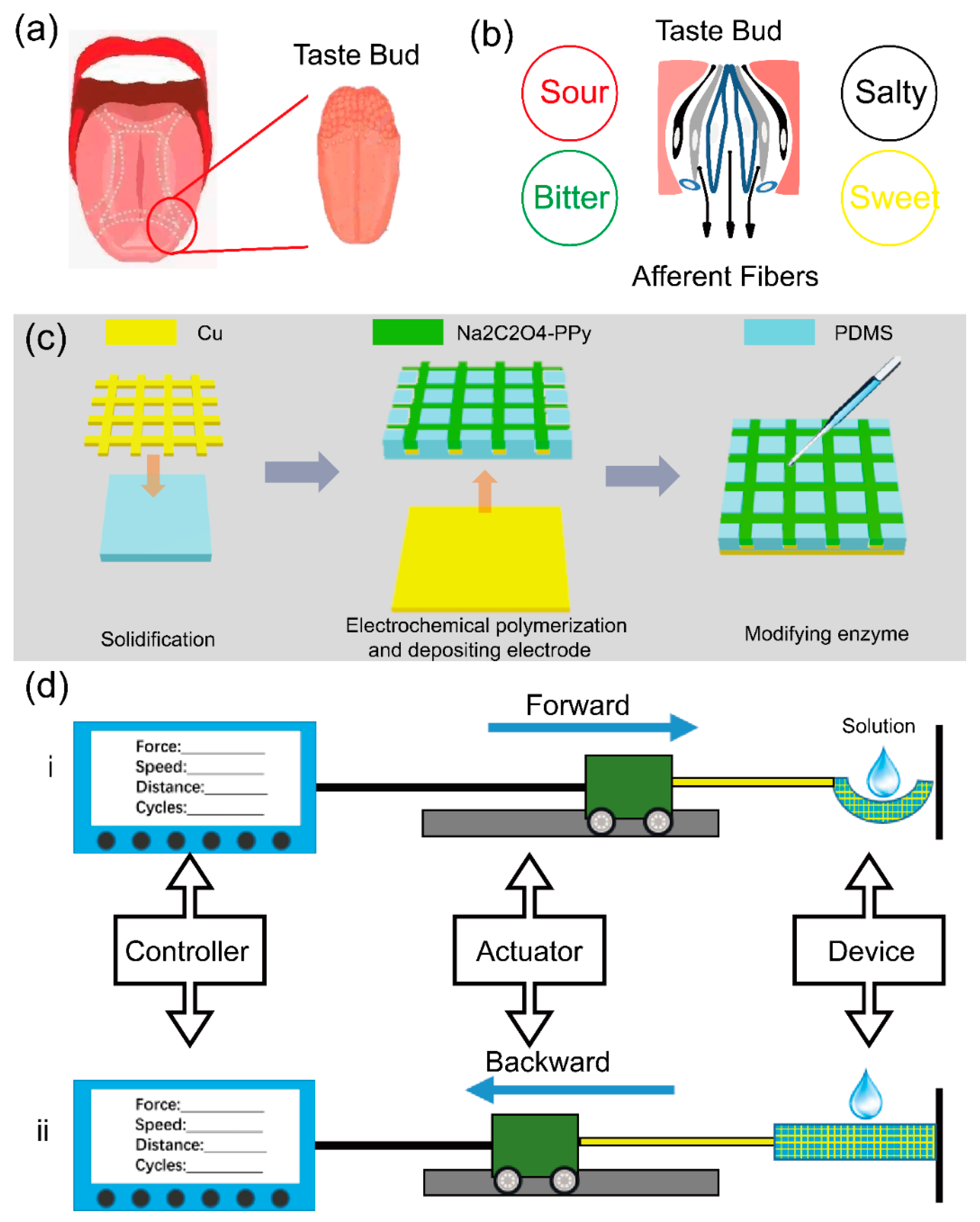 Sensors 21 00373 g001