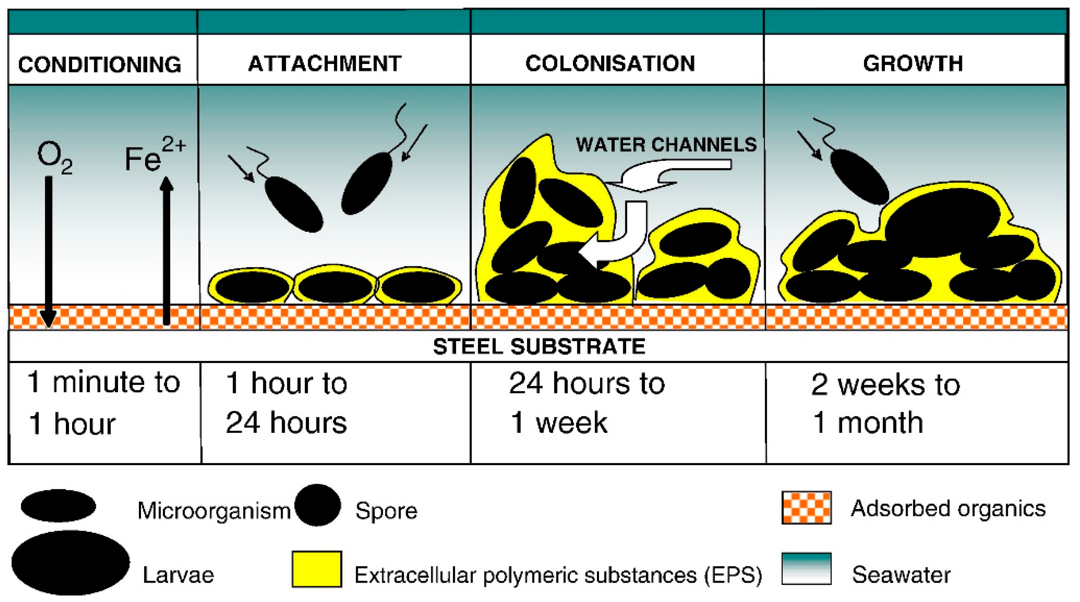 Sensors 21 00389 g001