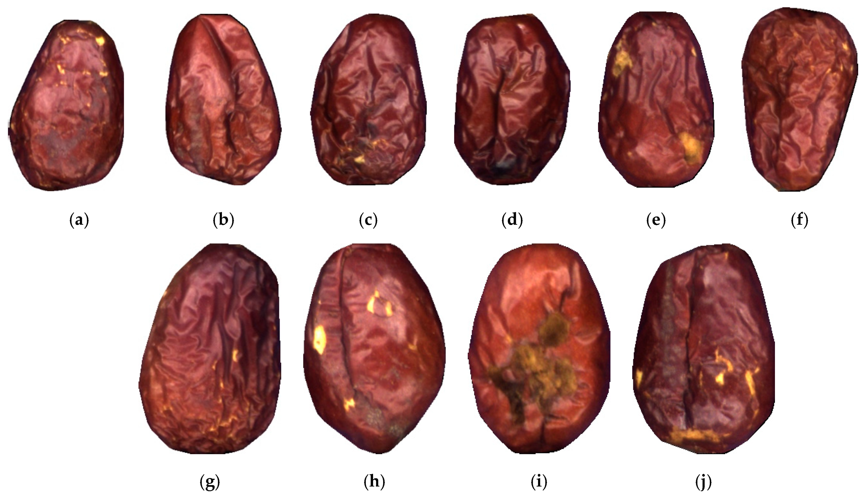 Sensors 21 00392 g001 Sensors 21 00392 g001