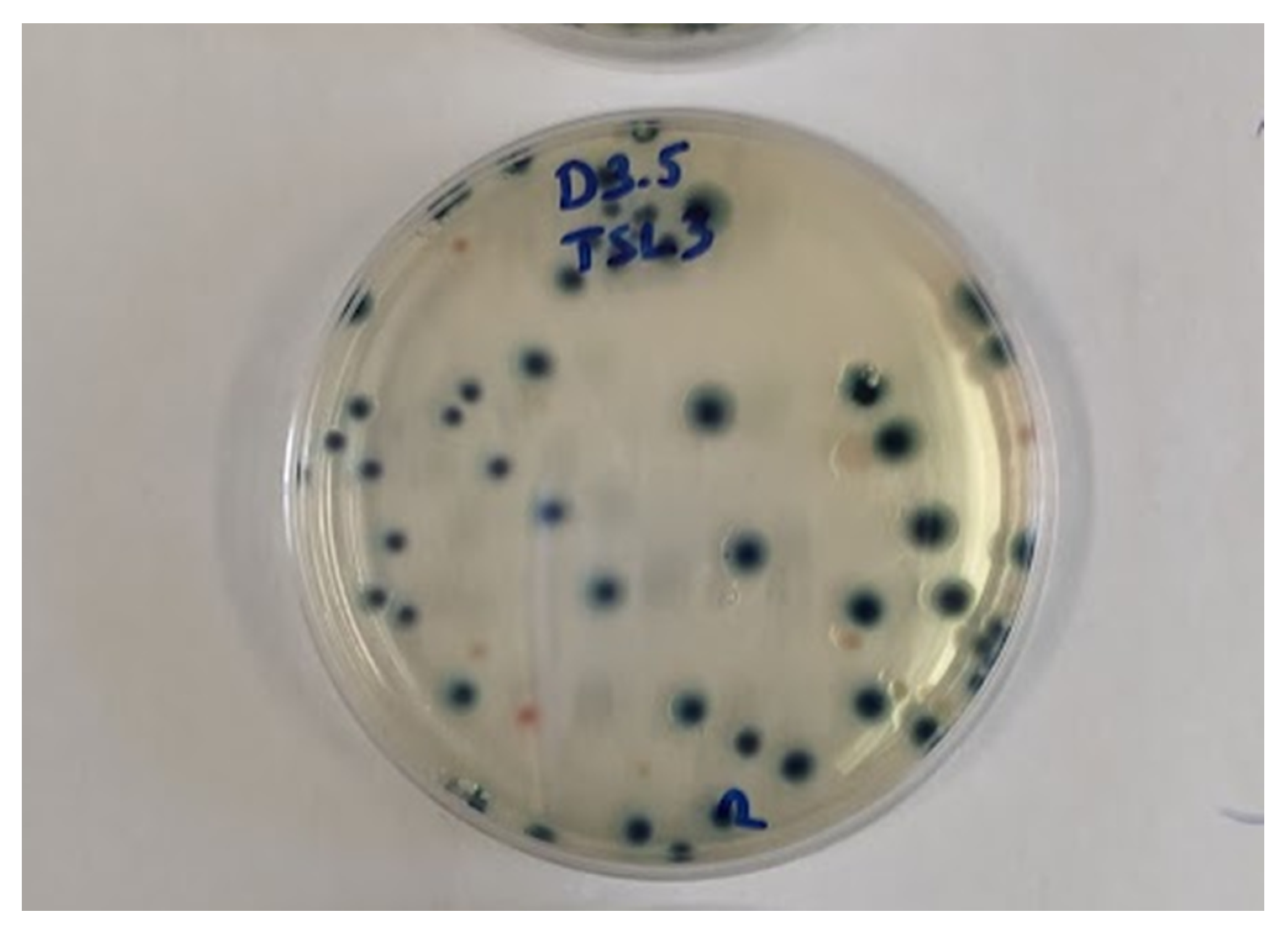 Sensors 21 00398 g003