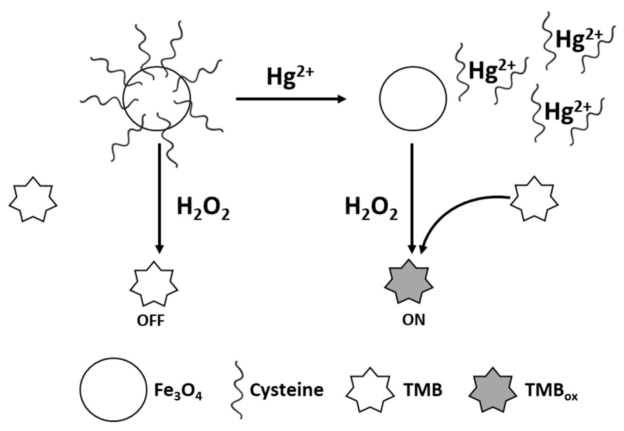 Sensors 21 00408 g008