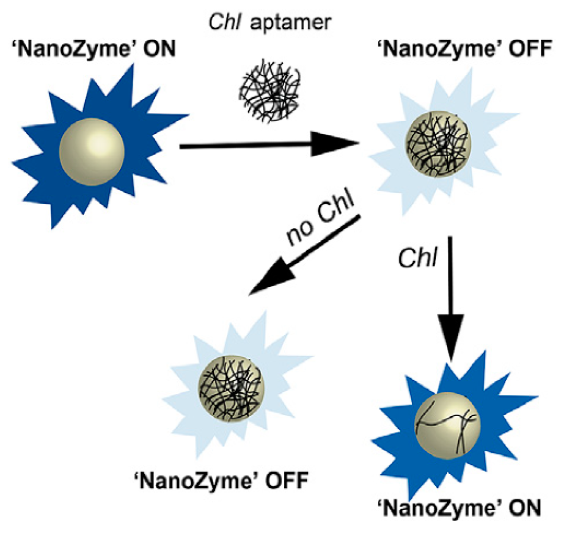 Sensors 21 00408 g014