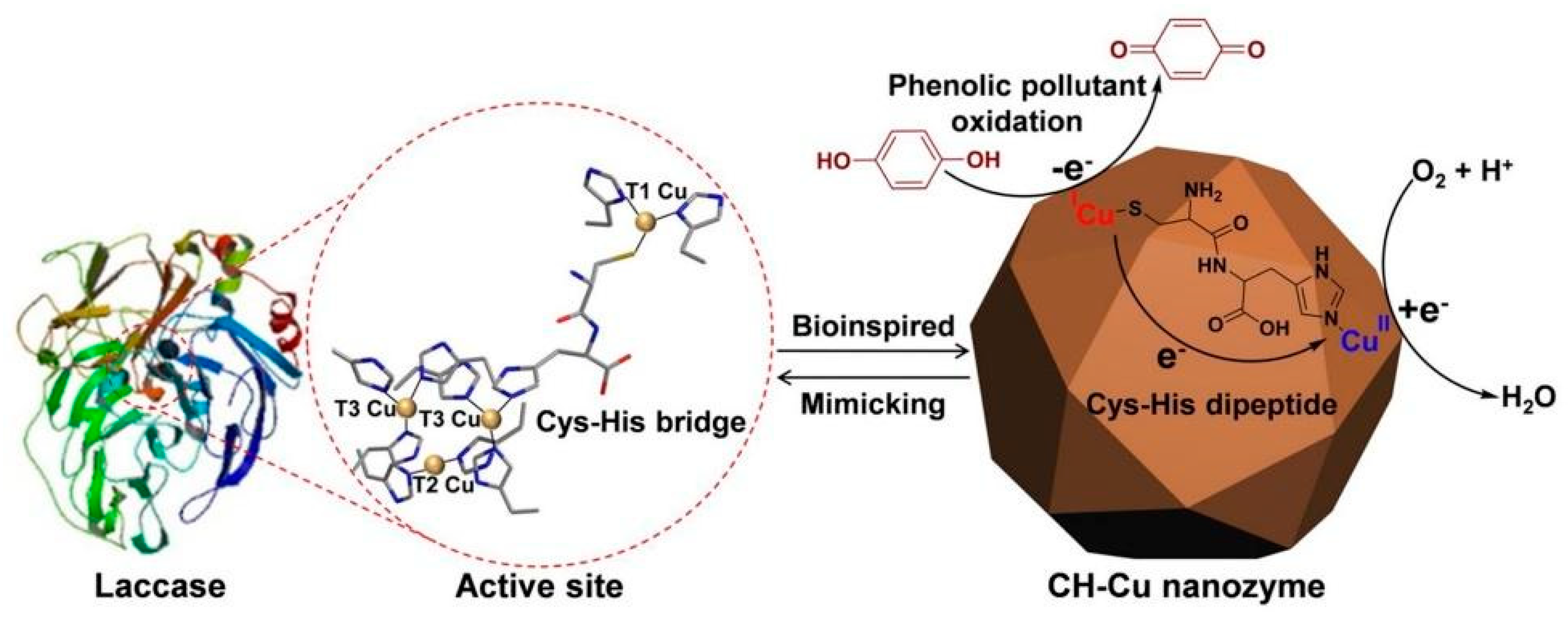 Sensors 21 00408 g019