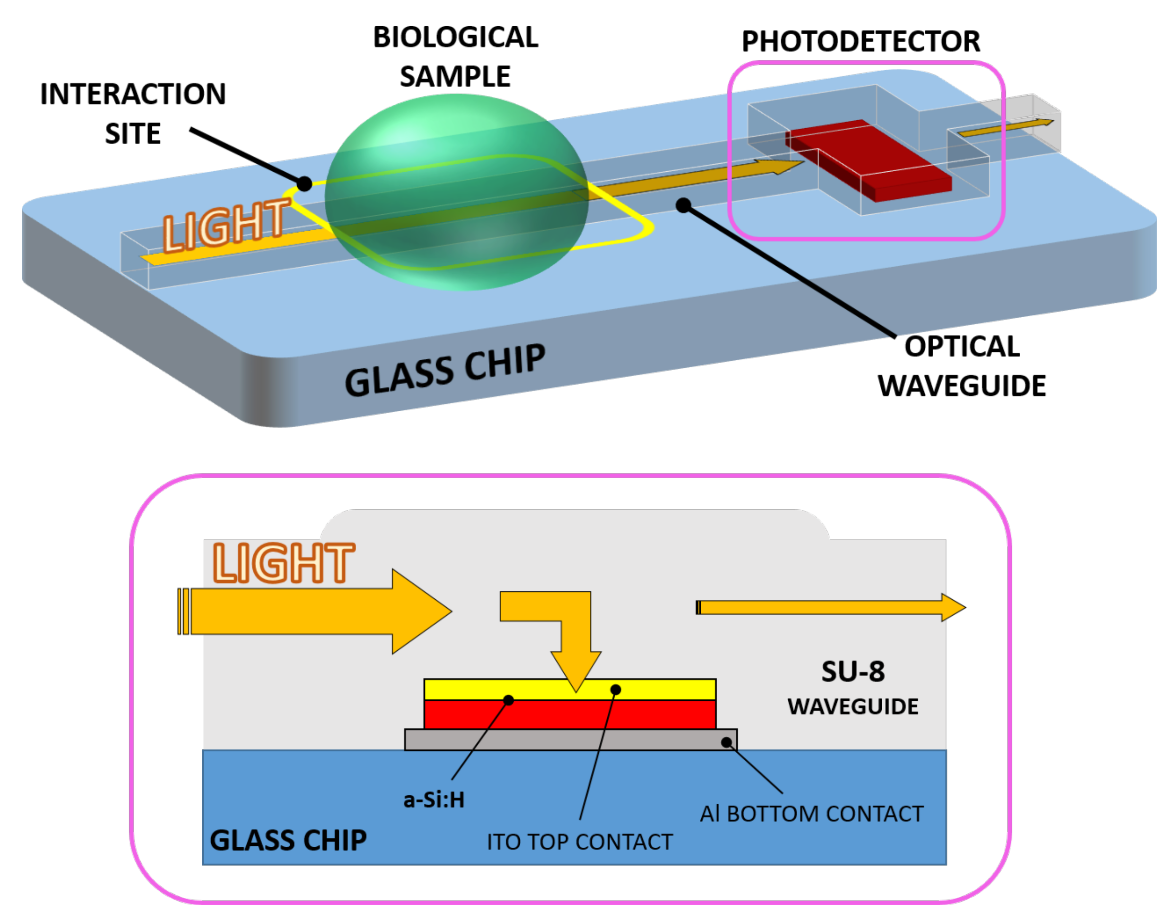 Sensors 21 00415 g001
