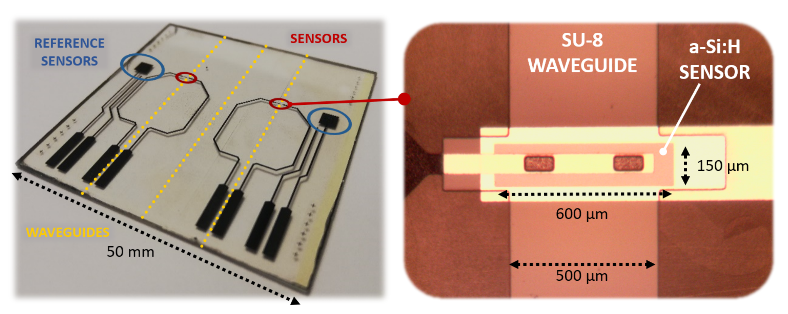 Sensors 21 00415 g005