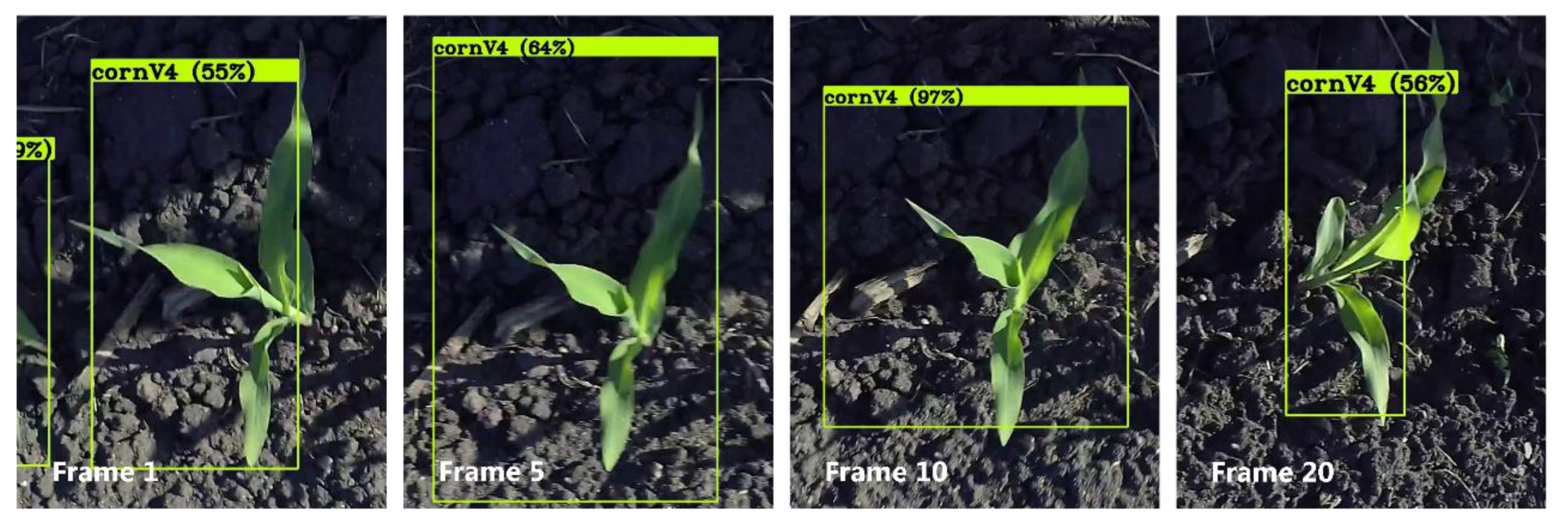 Sensors 21 00507 g004