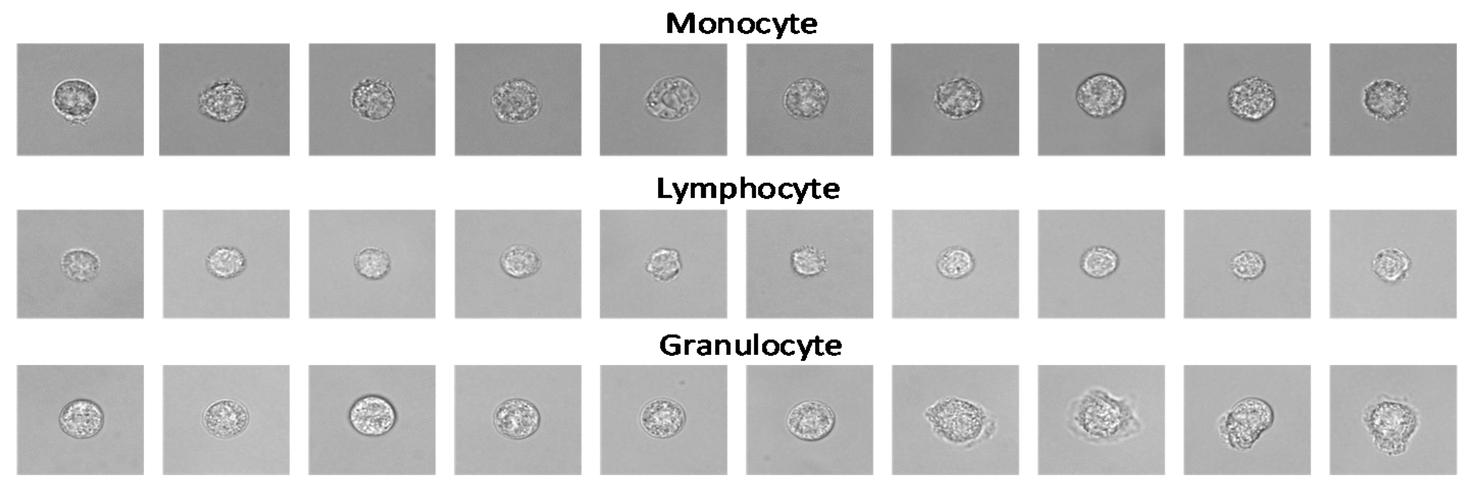 Sensors 21 00512 g003