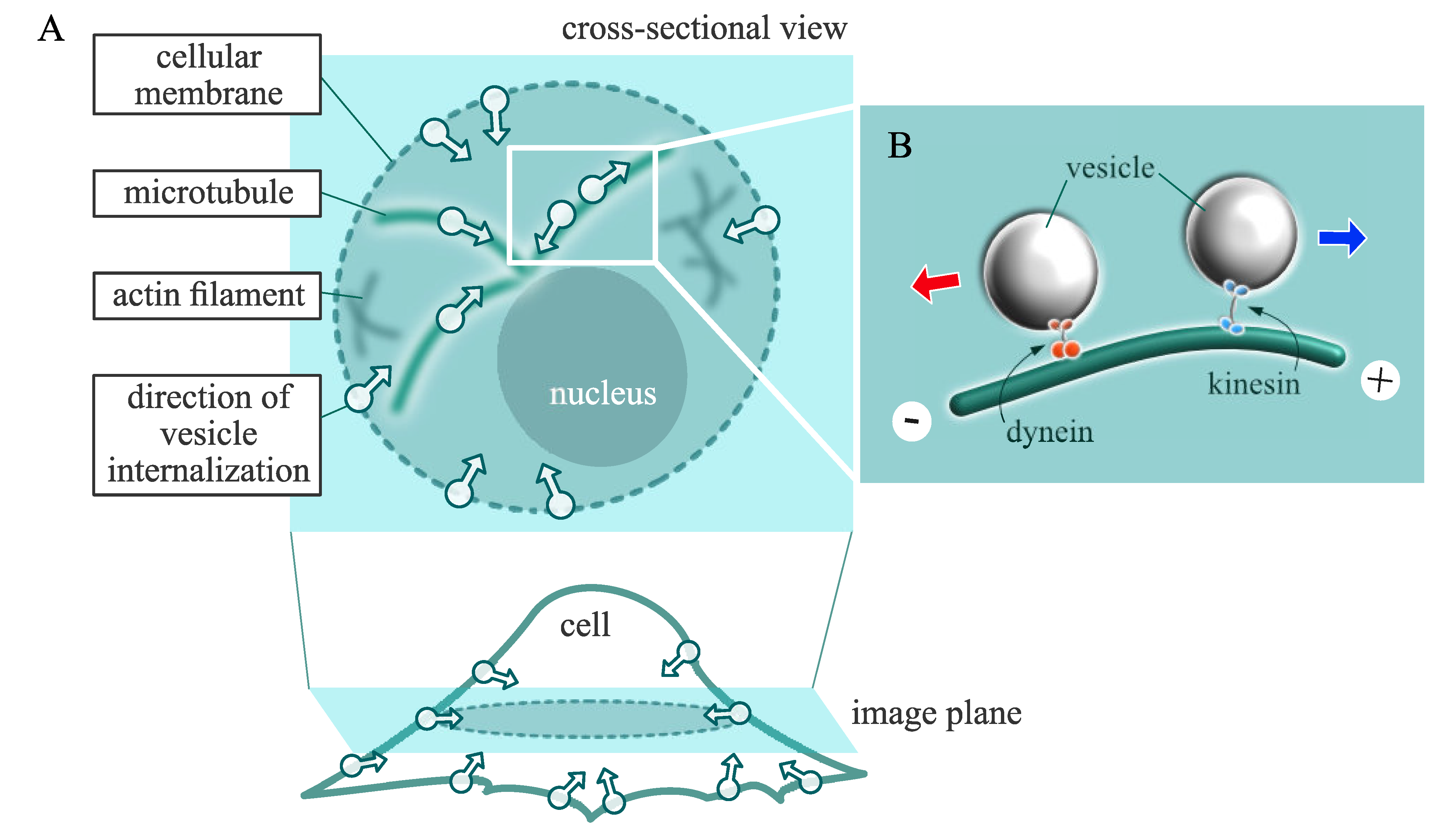 Sensors 21 00522 g001