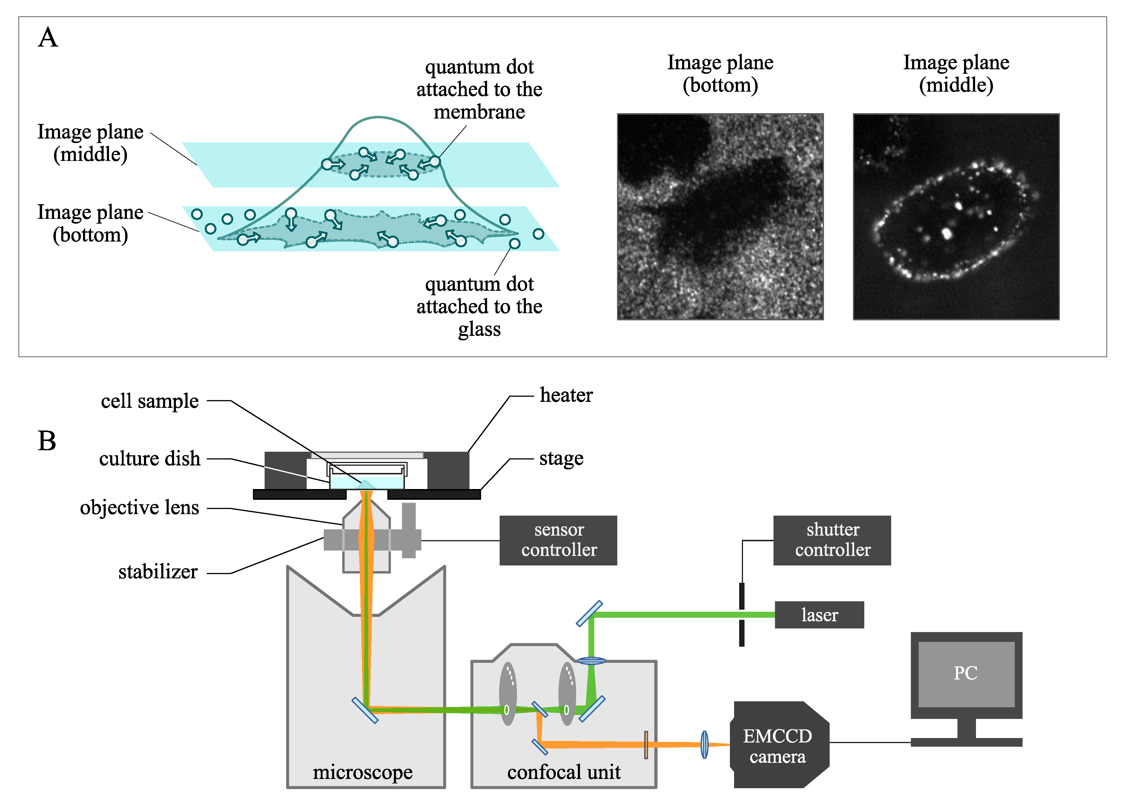 Sensors 21 00522 g002