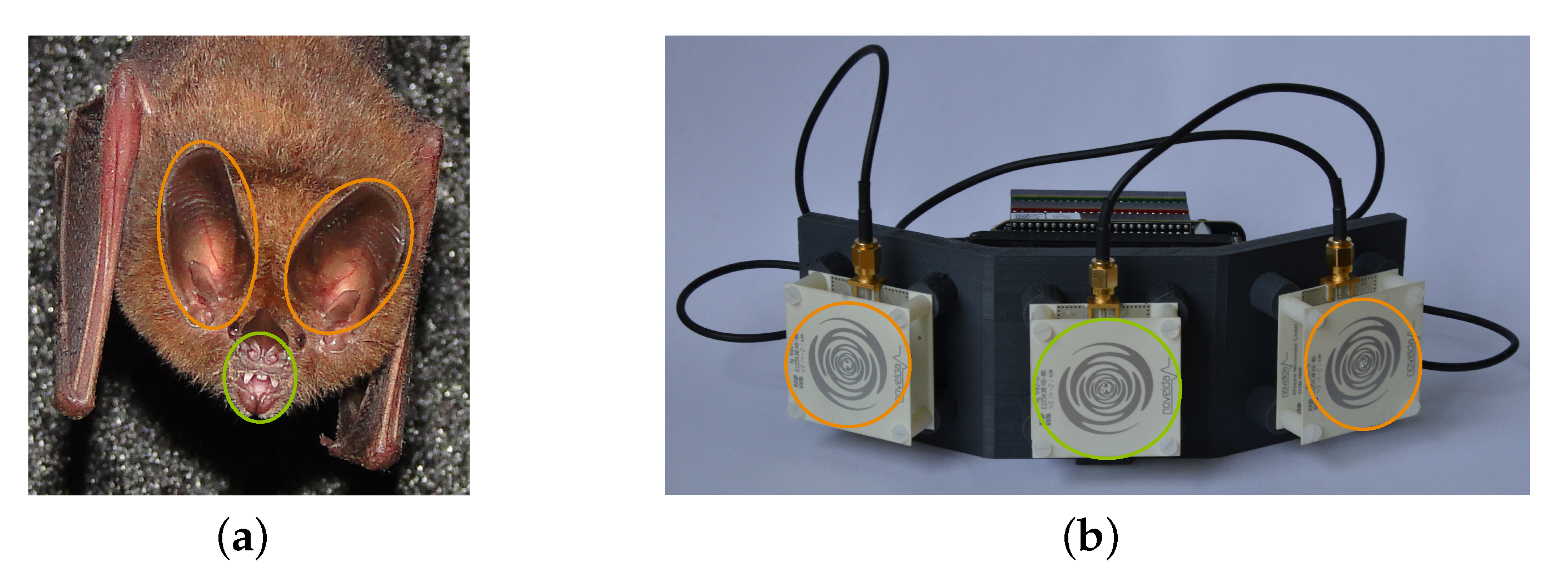 Sensors 21 00523 g001