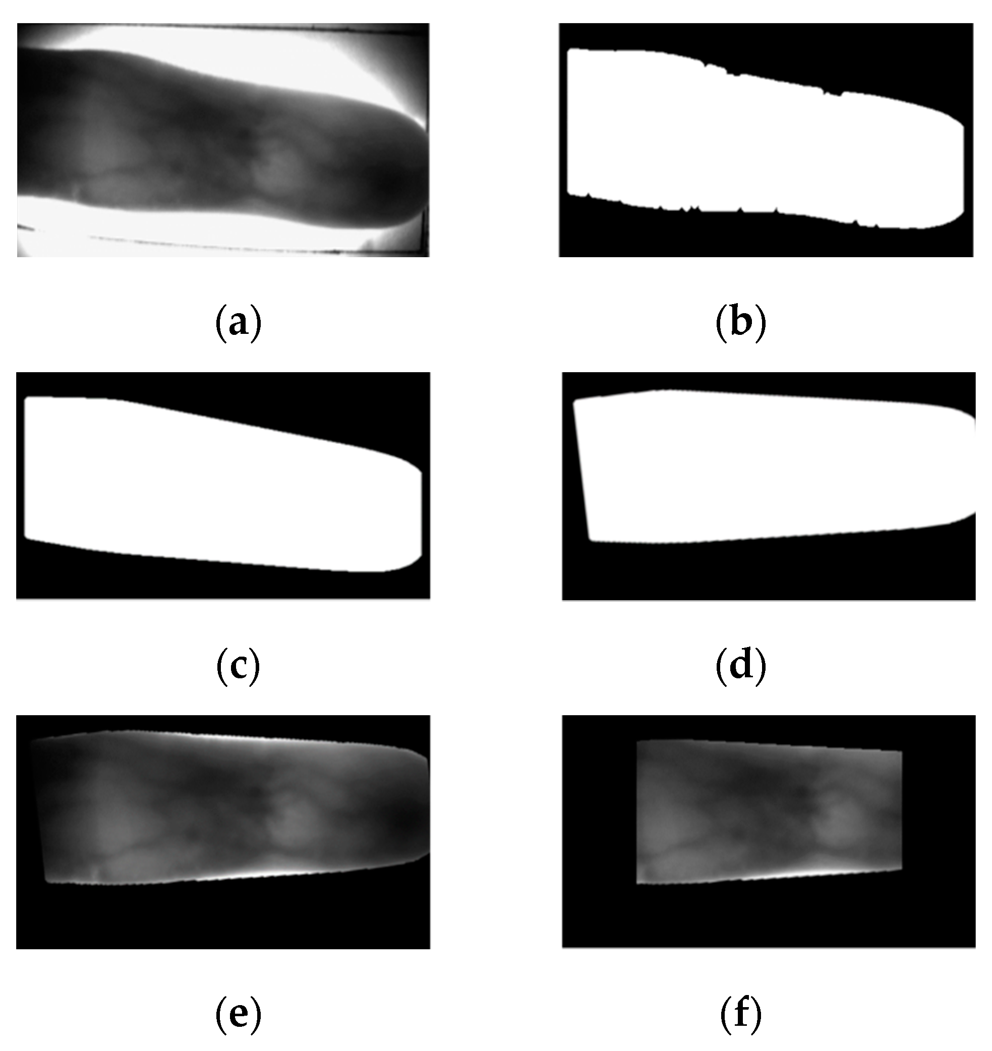 Sensors 21 00524 g002