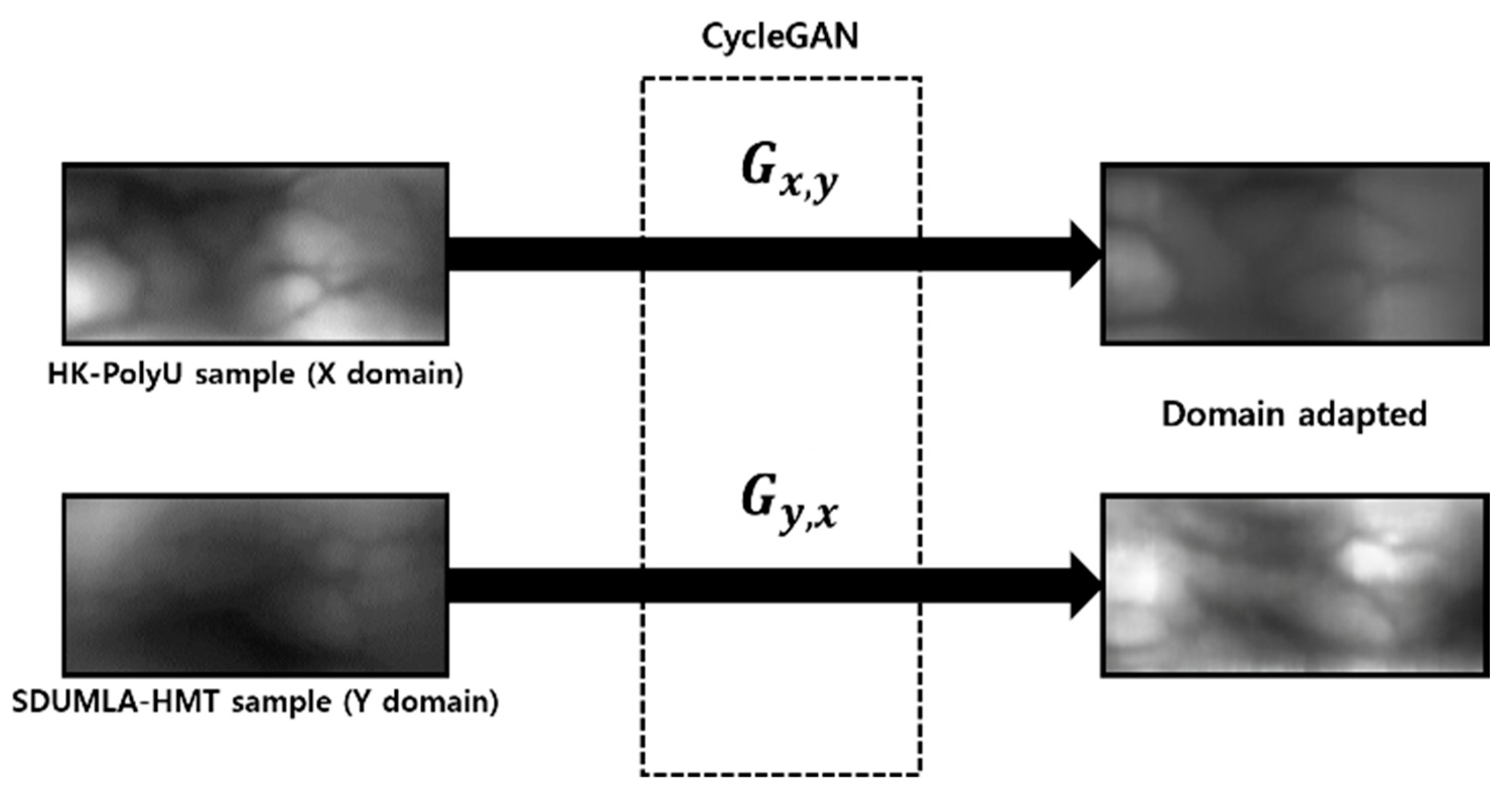 Sensors 21 00524 g004