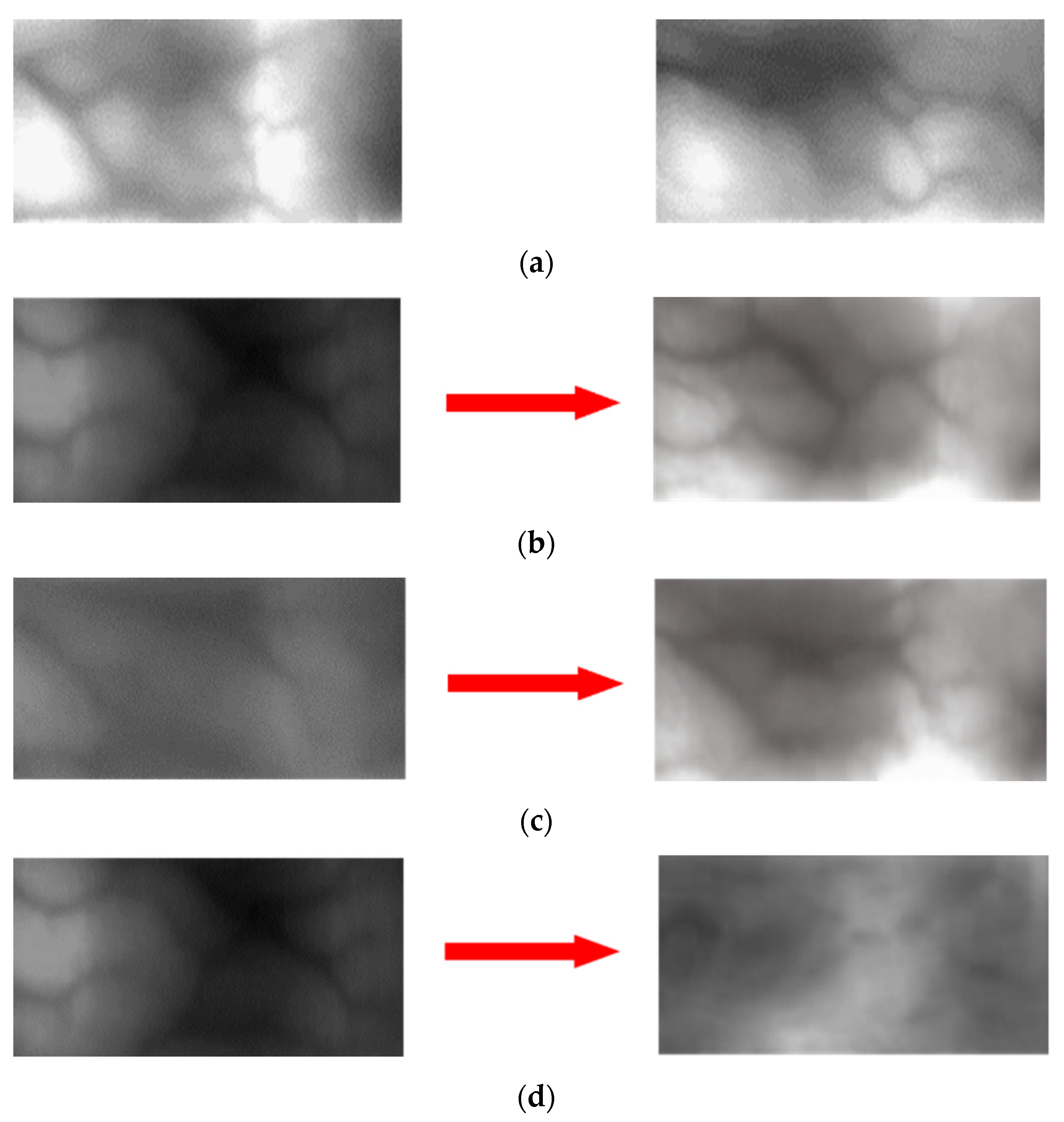 Sensors 21 00524 g010a
