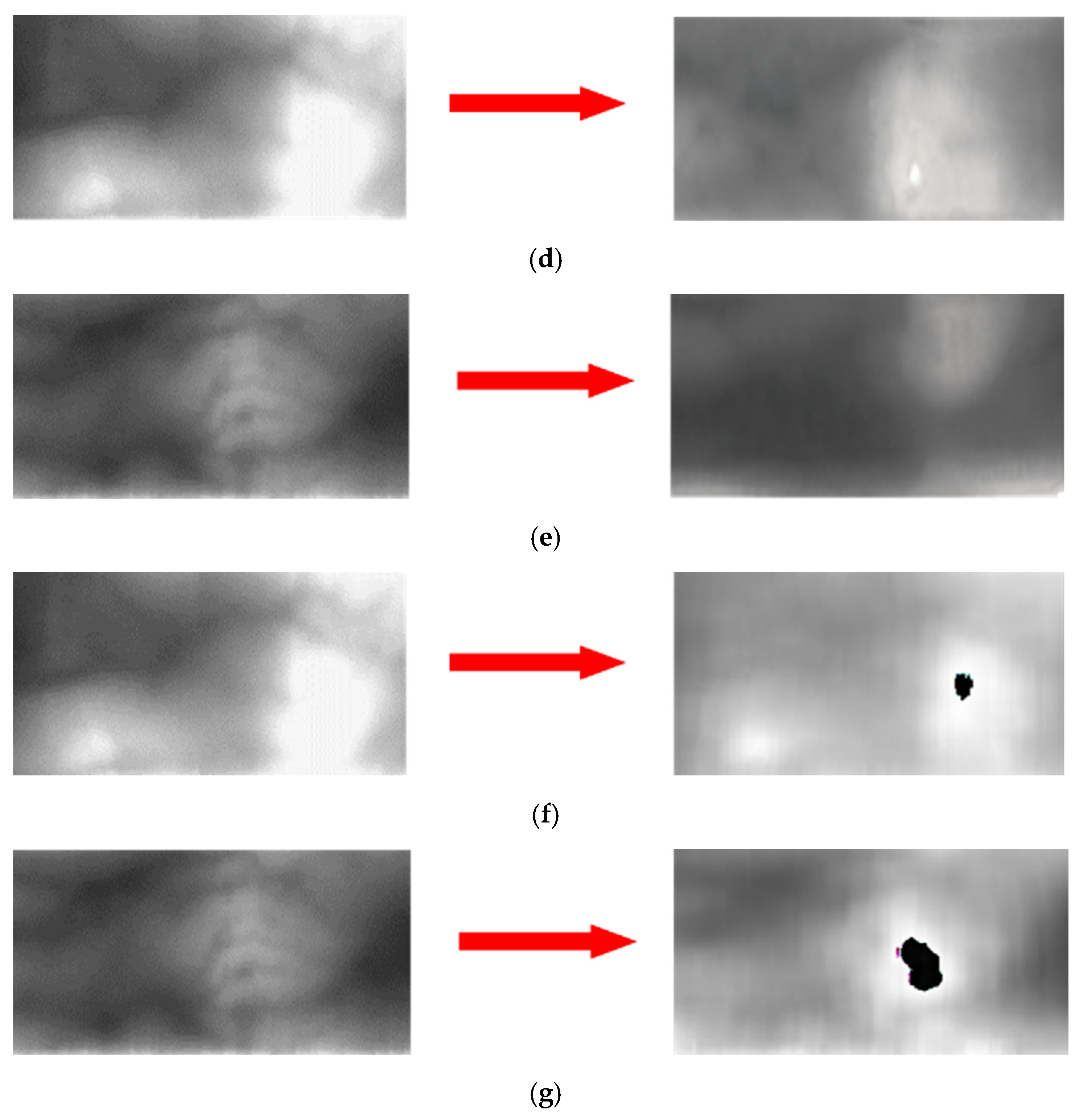 Sensors 21 00524 g011b