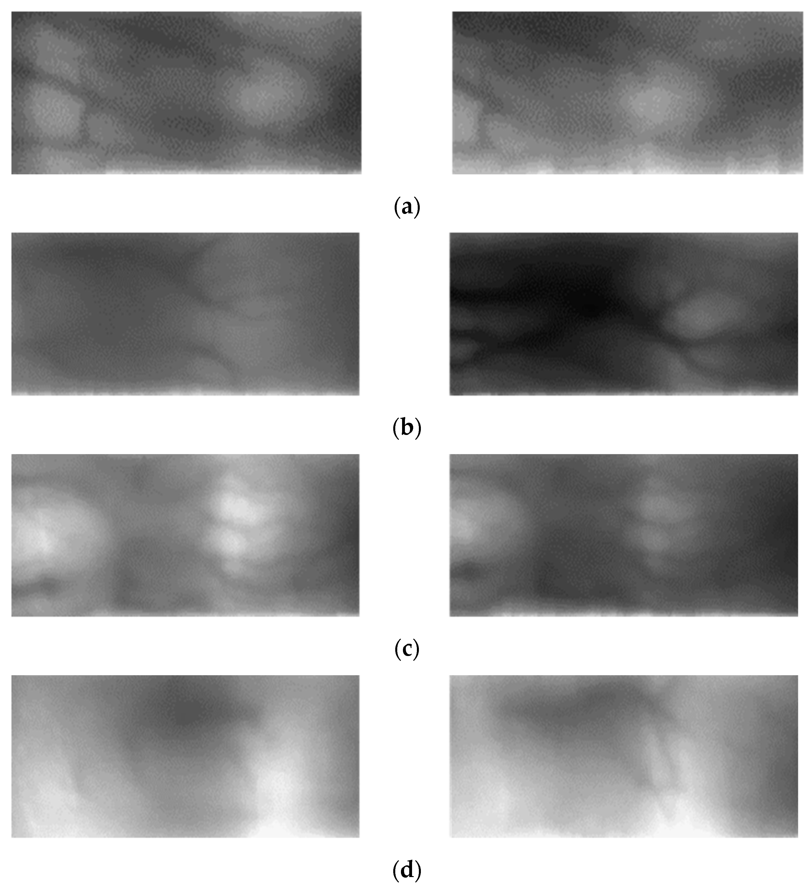 Sensors 21 00524 g012