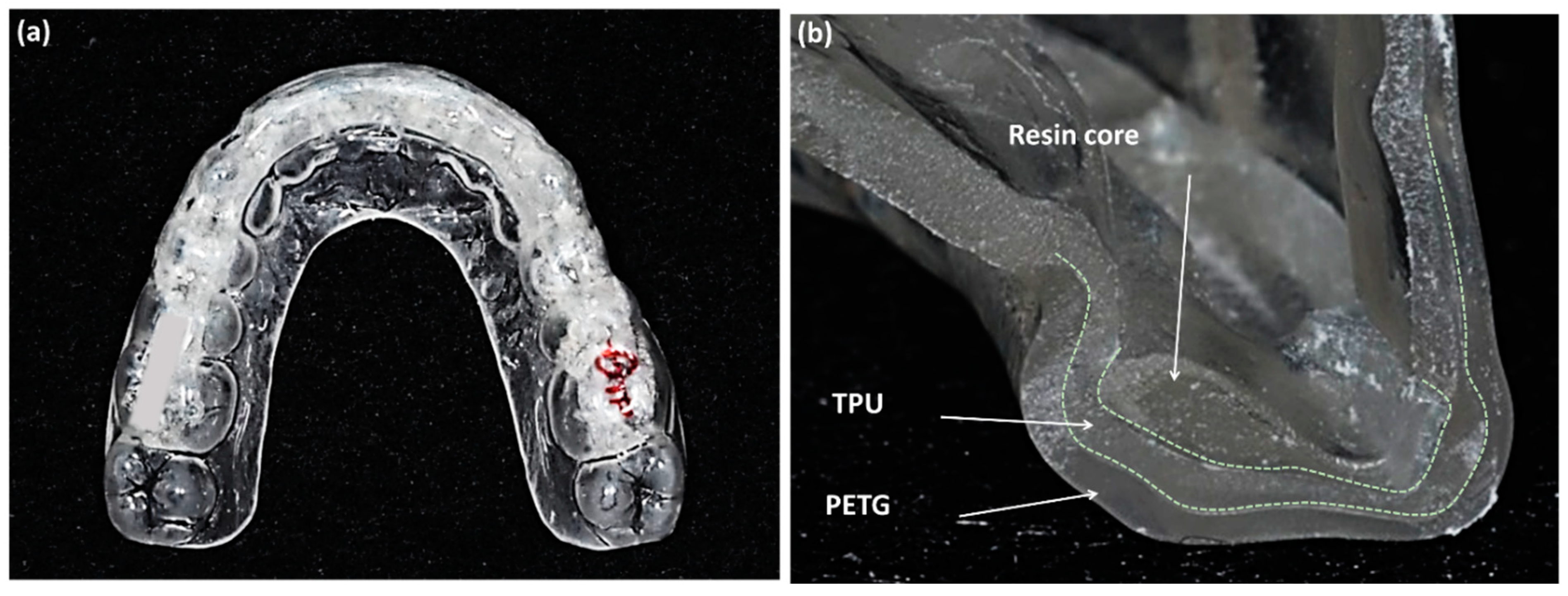 Sensors 21 00541 g001