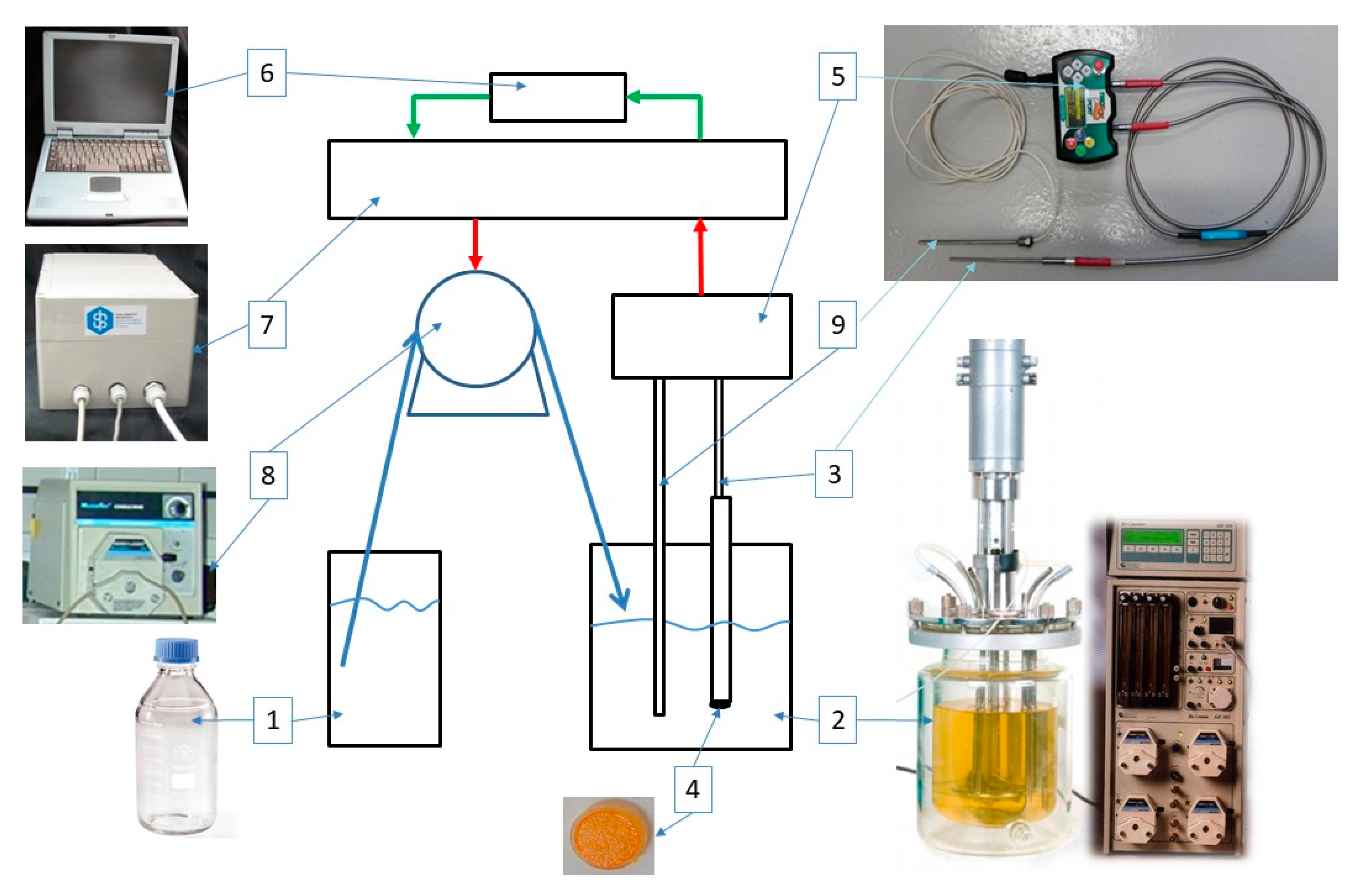 Sensors 21 00565 g002