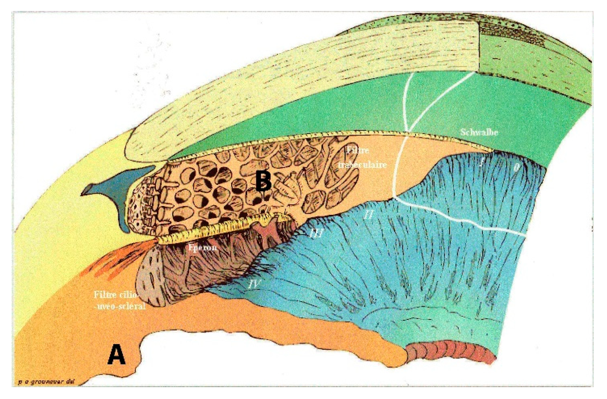 Sensors 21 00579 g001