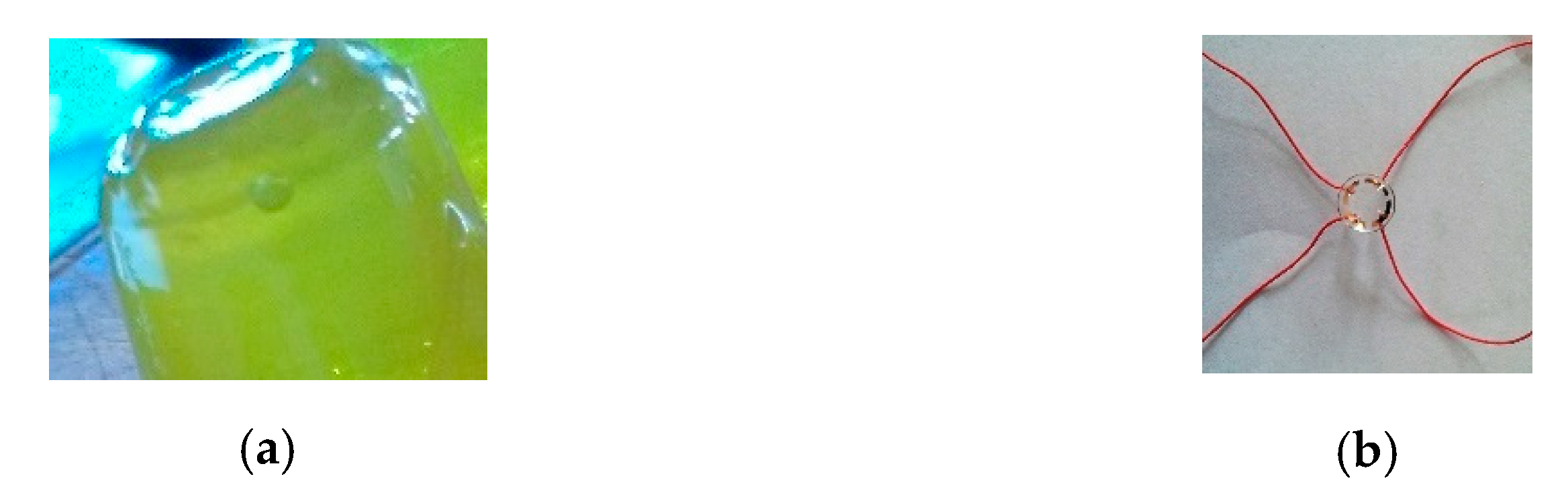 Sensors 21 00579 g004