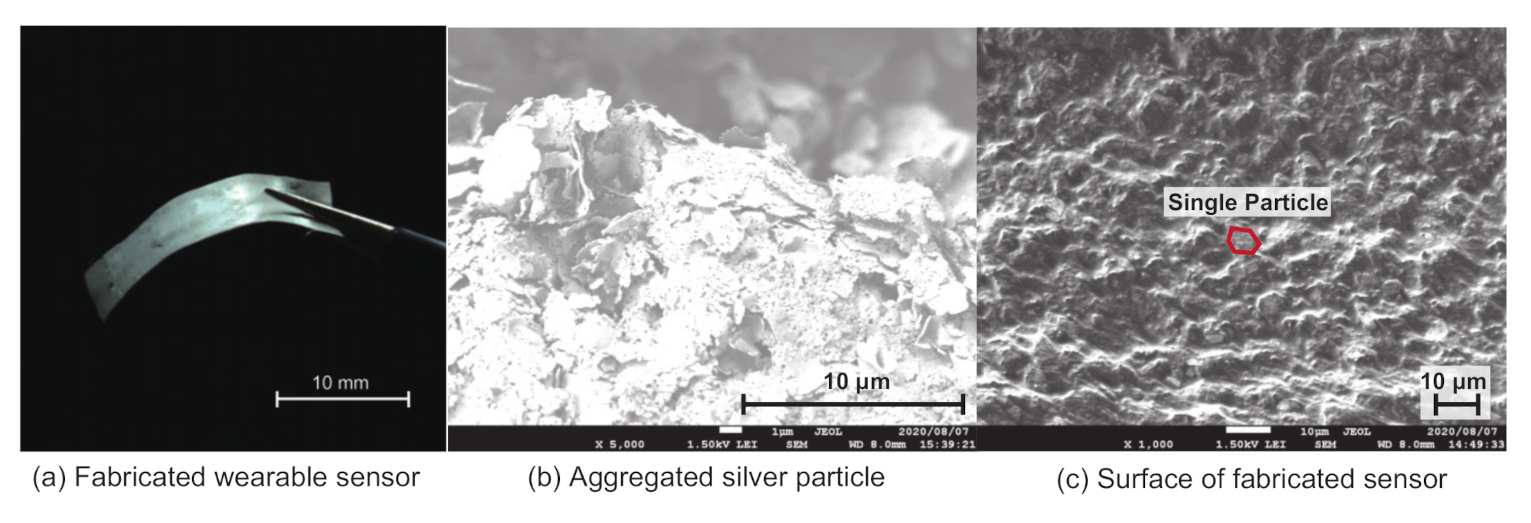 Sensors 21 00593 g002