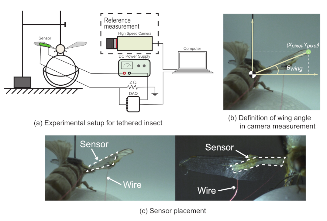 Sensors 21 00593 g004