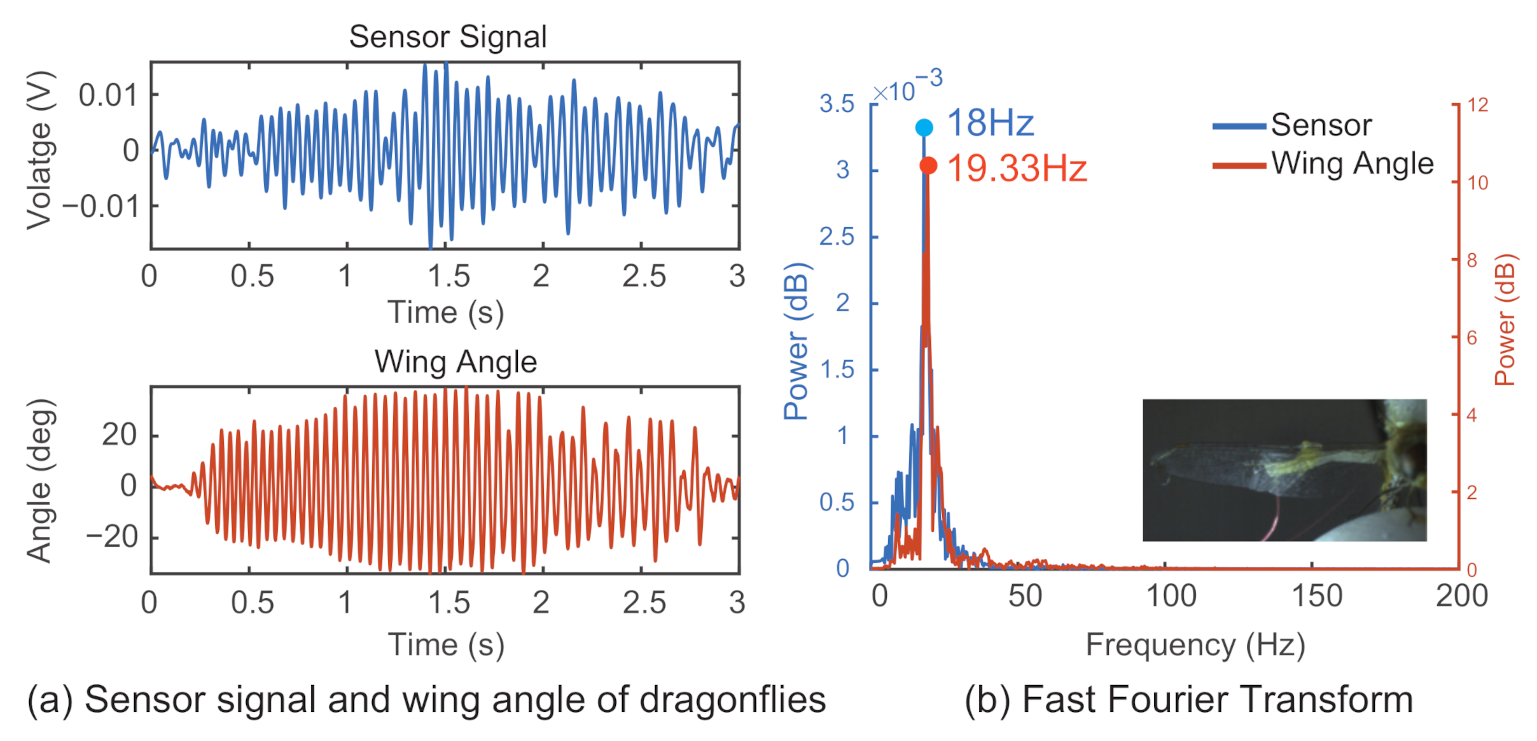 Sensors 21 00593 g008