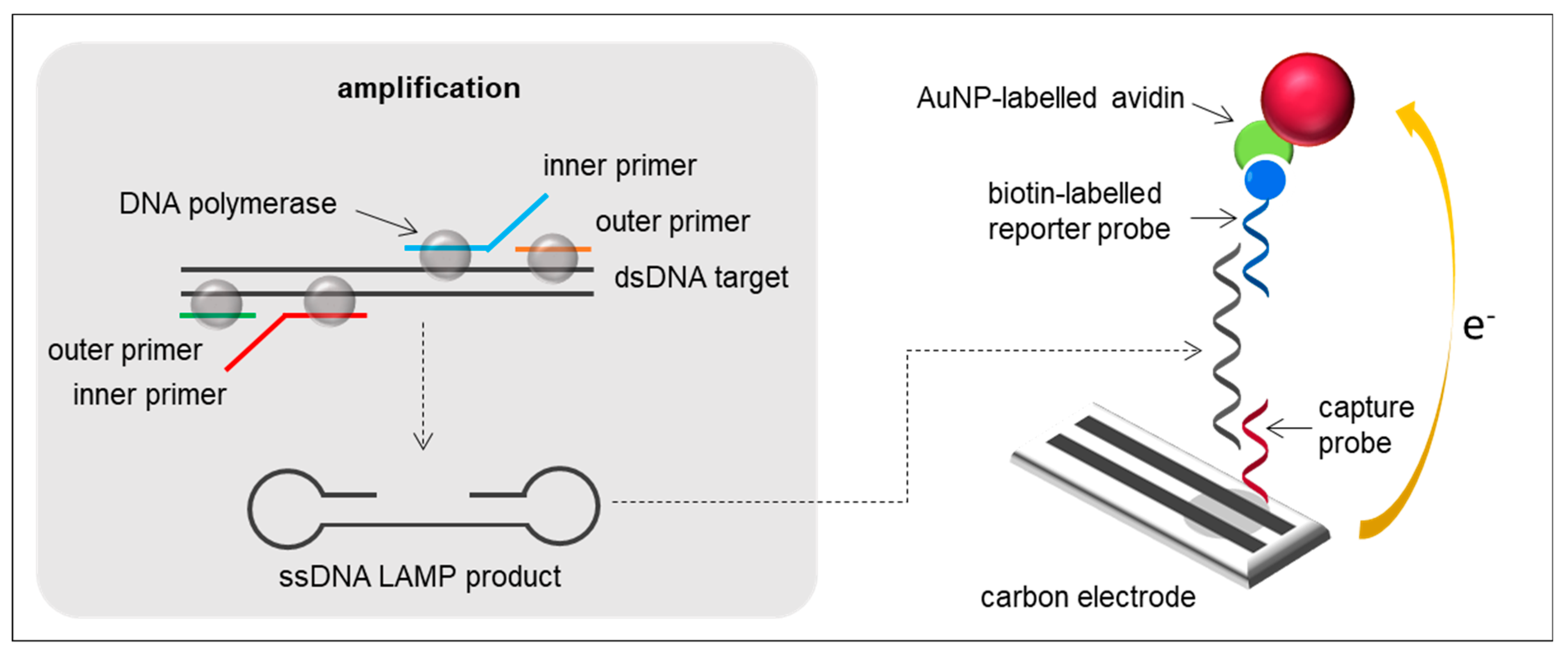 Sensors 21 00602 g001