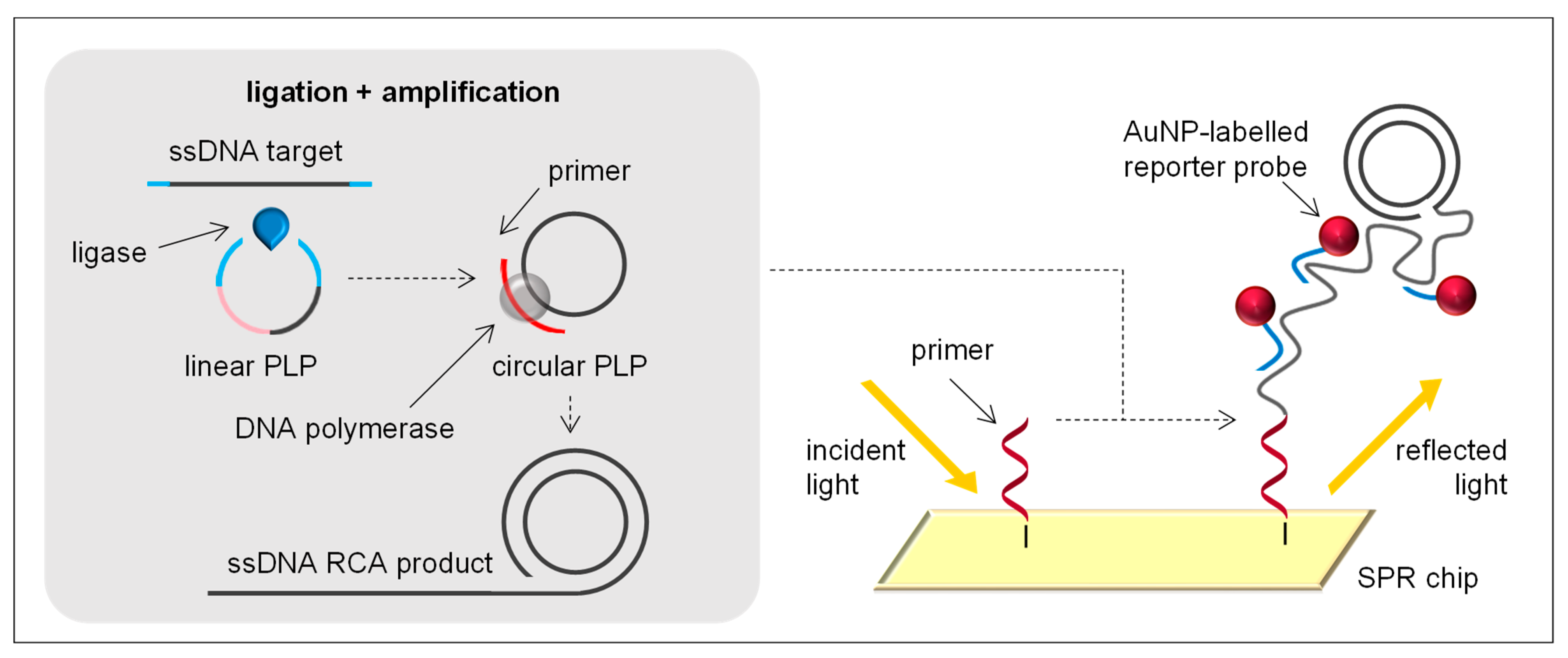 Sensors 21 00602 g002