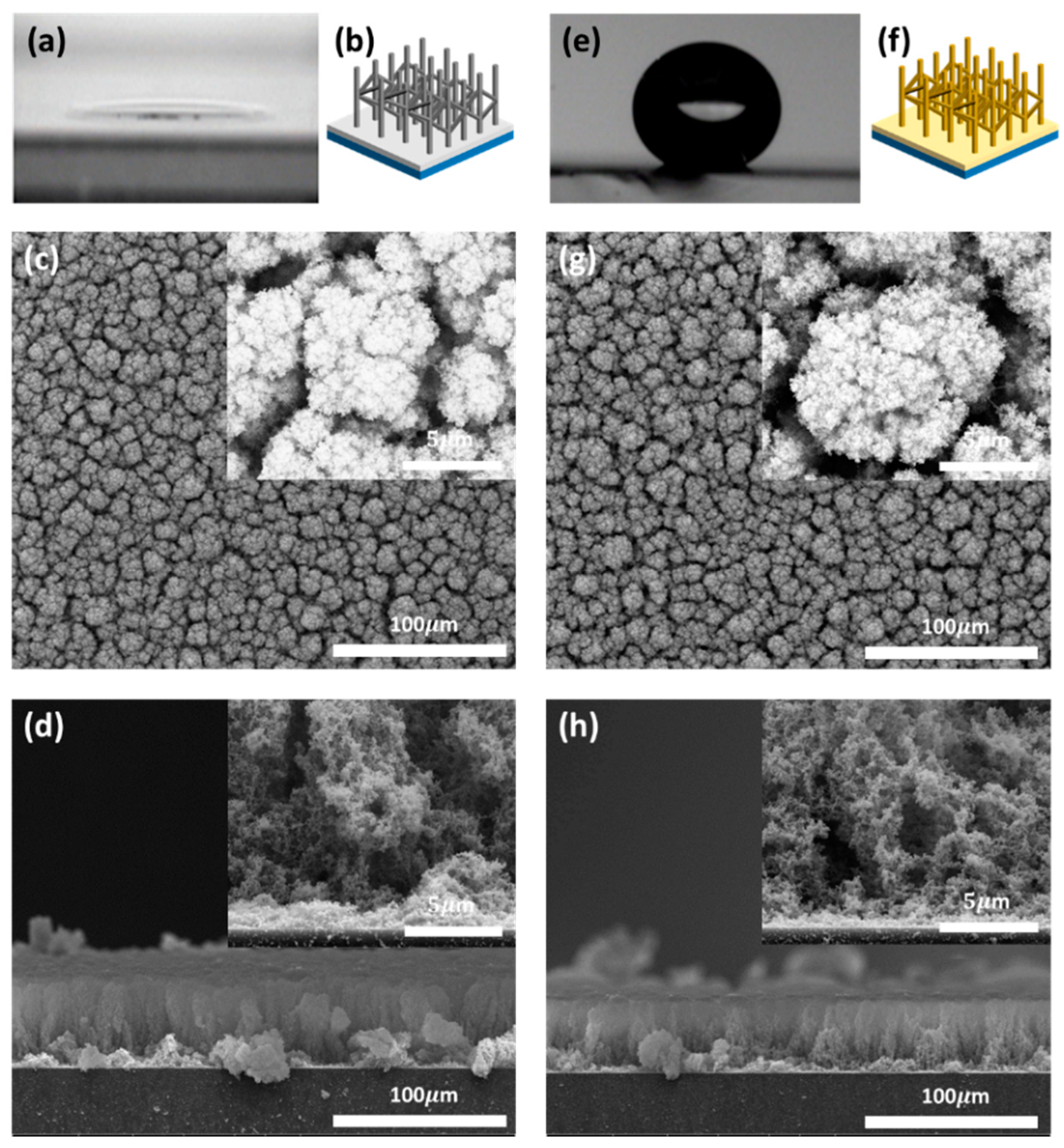 Sensors 21 00610 g001