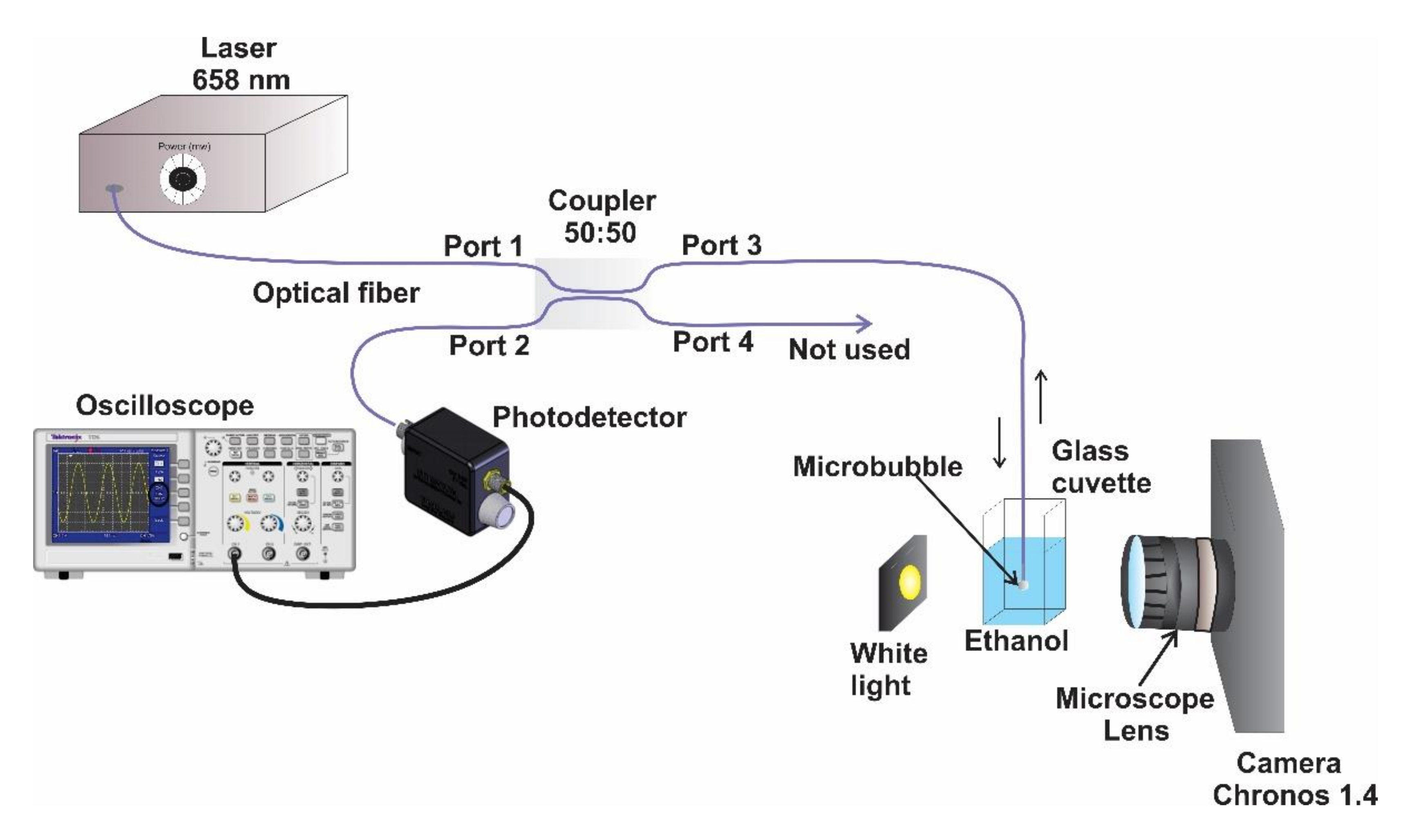 Sensors 21 00628 g002