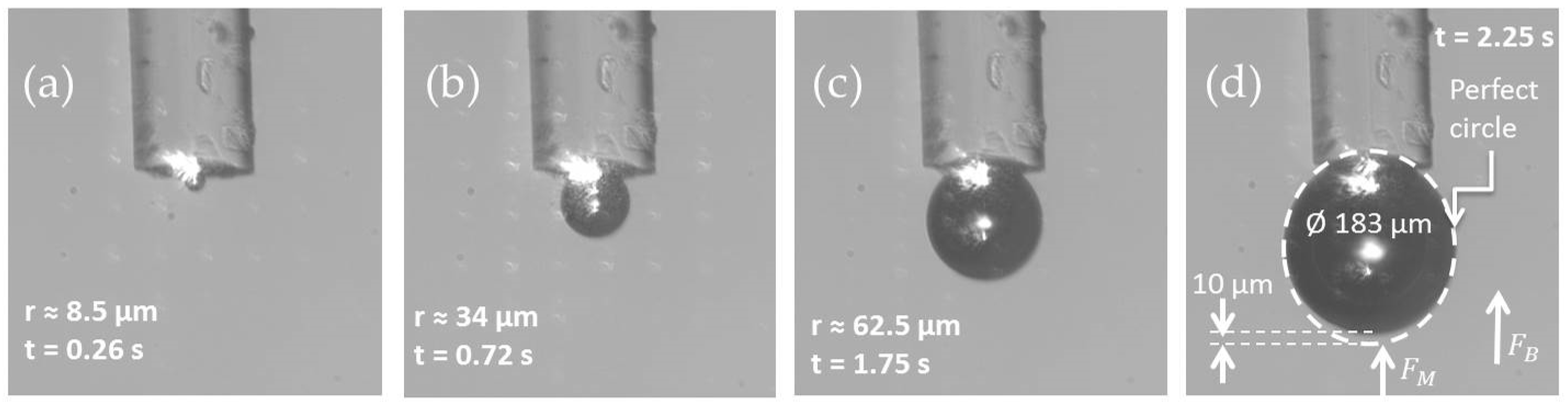 Sensors 21 00628 g004