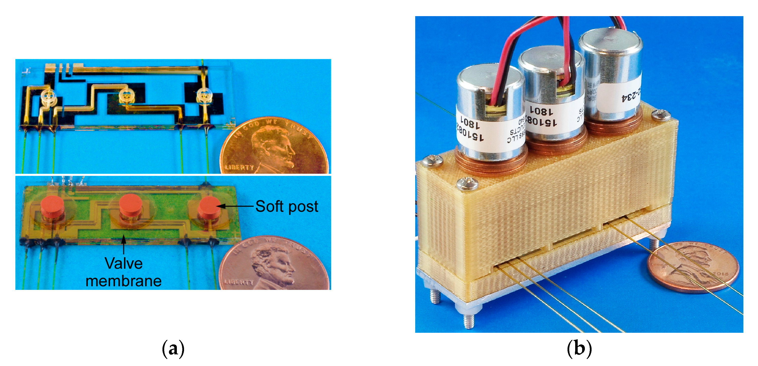 Sensors 21 00632 g004 Sensors 21 00632 g004