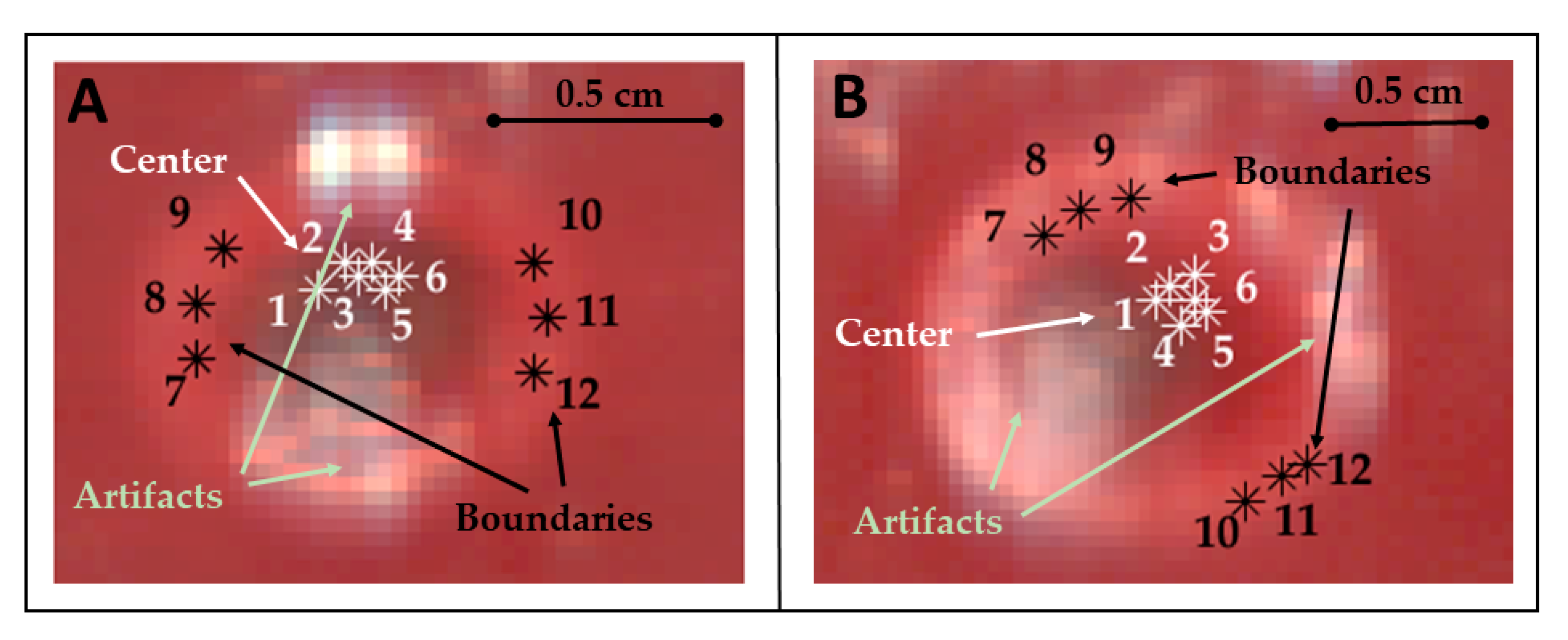 Sensors 21 00643 g003
