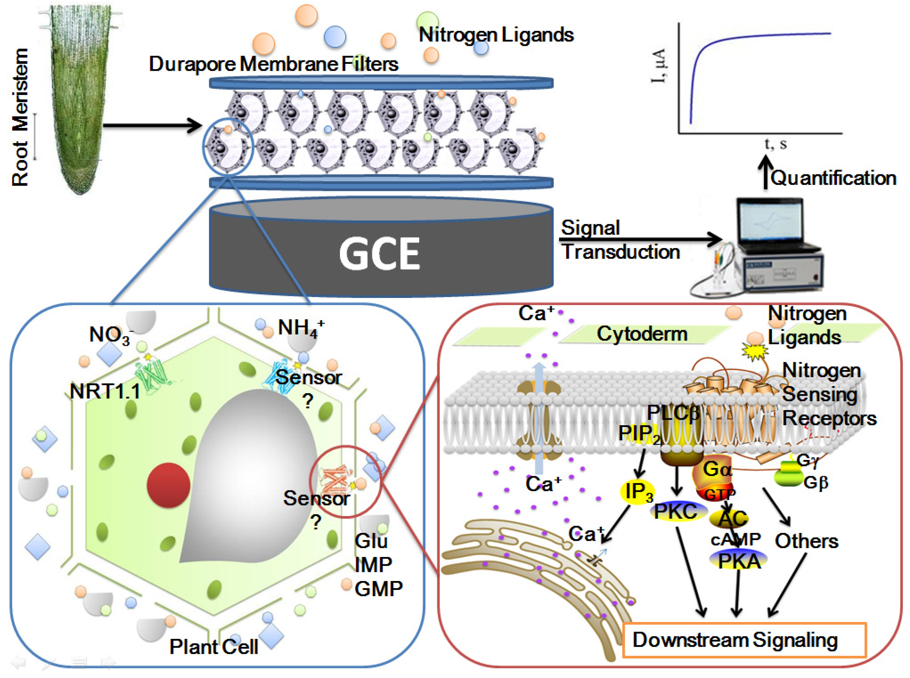 Sensors 21 00681 g001