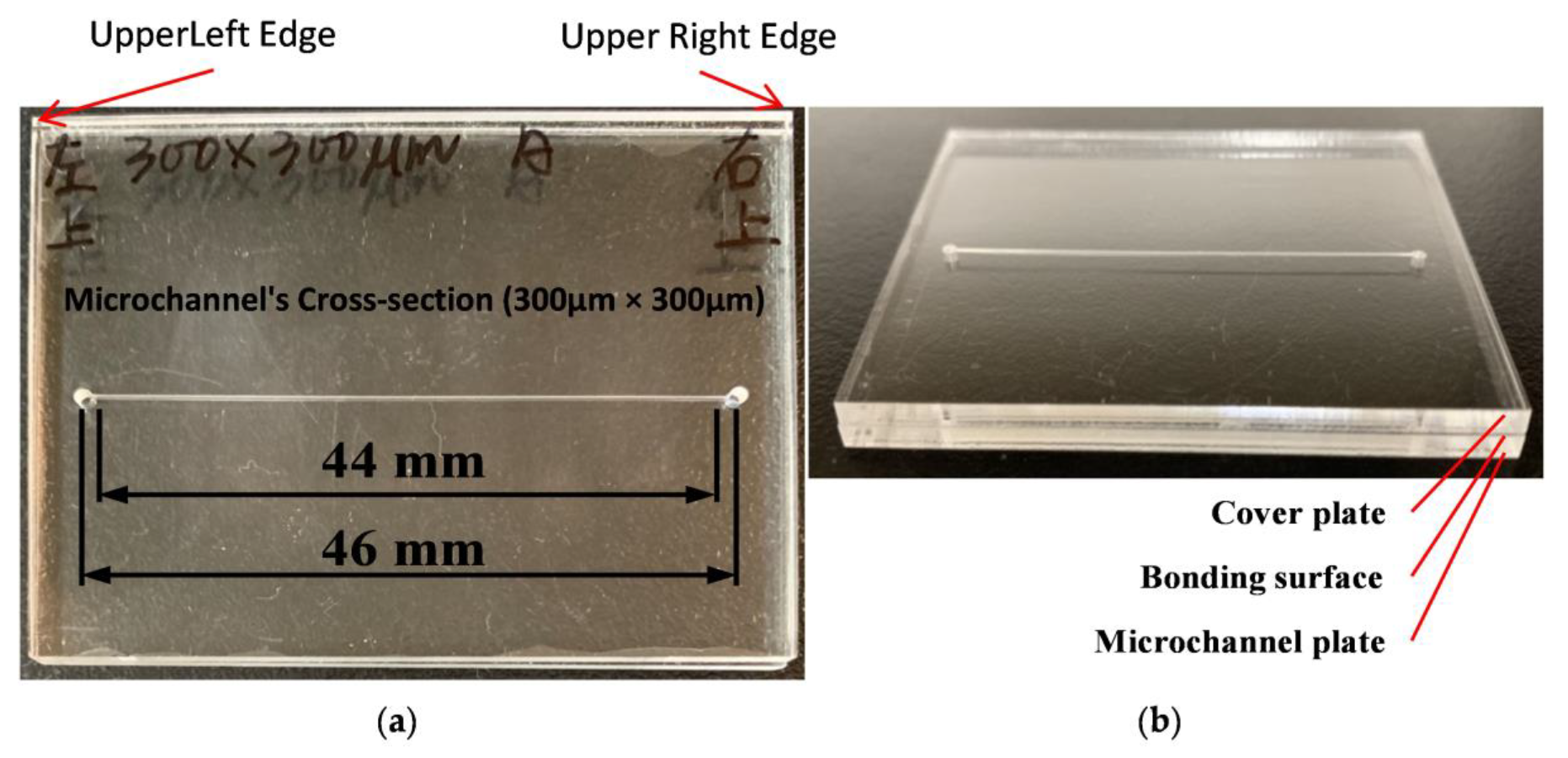 Sensors 21 00698 g001