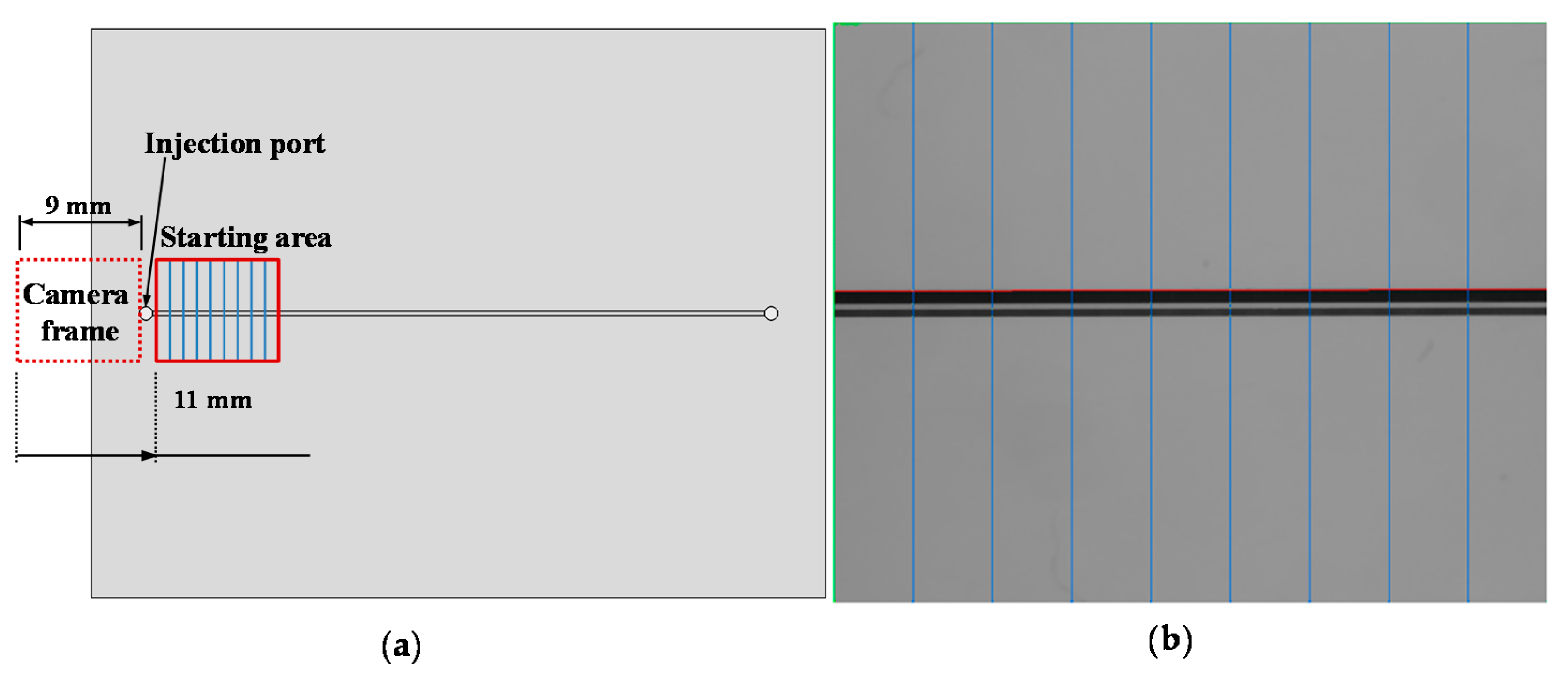 Sensors 21 00698 g008