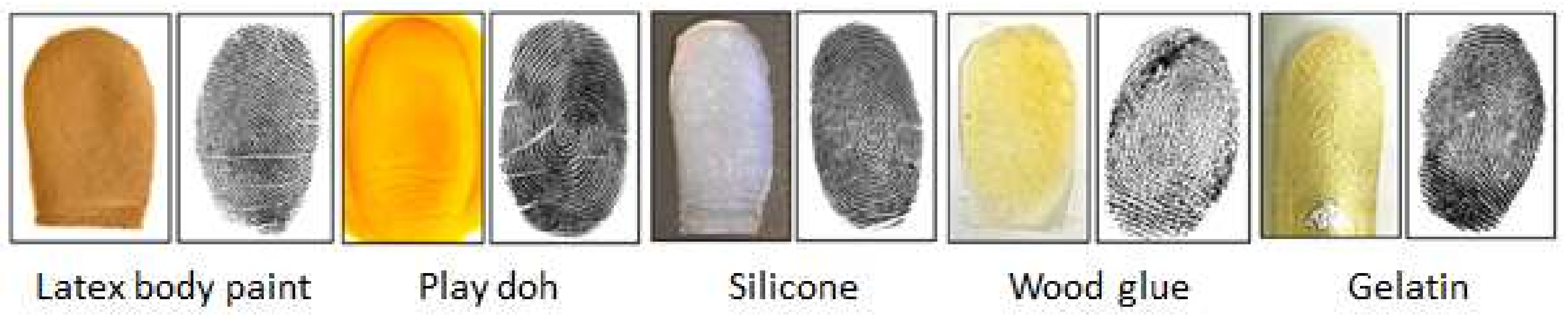 Sensors 21 00699 g001 Sensors 21 00699 g001