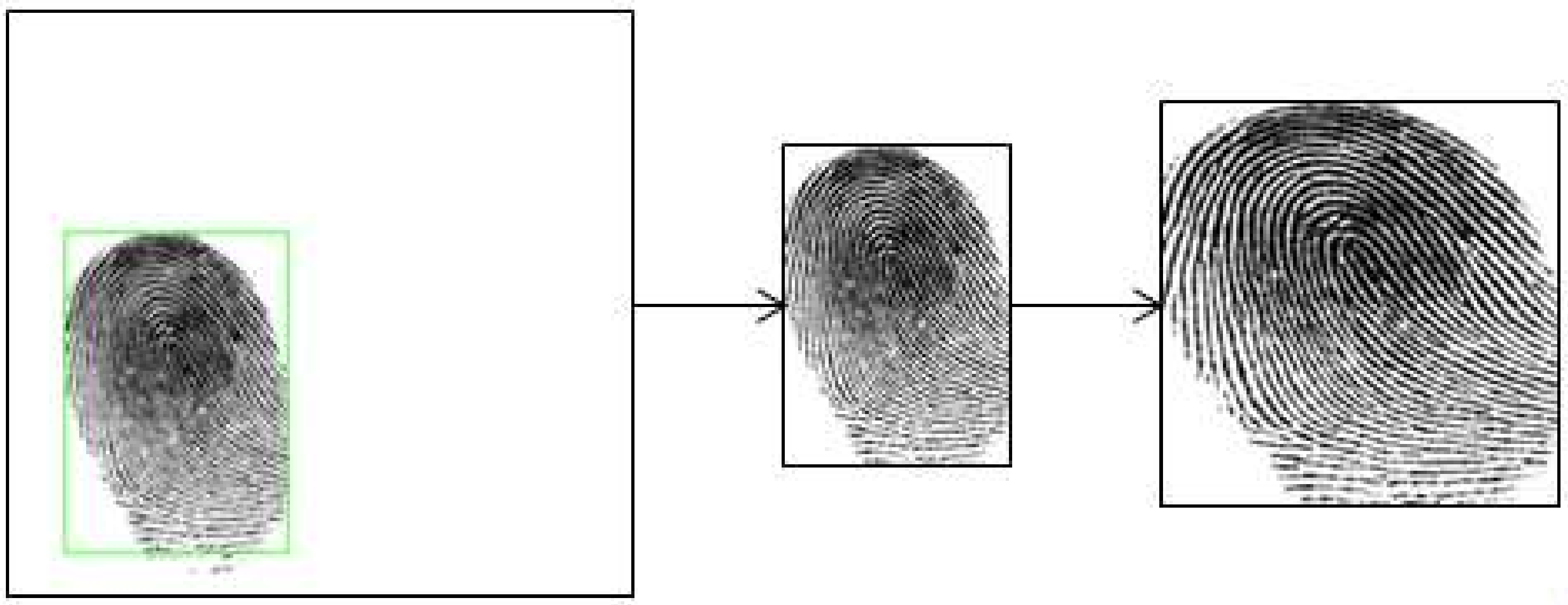 Sensors 21 00699 g006 Sensors 21 00699 g006