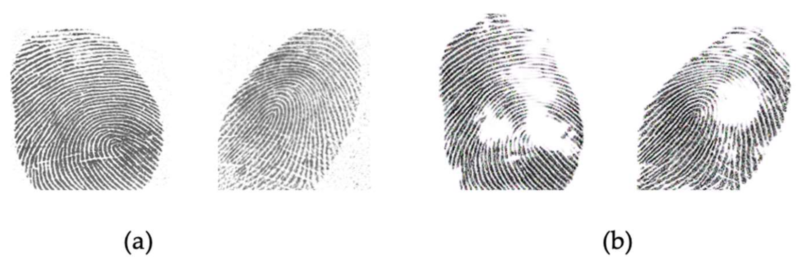 Sensors 21 00699 g009 Sensors 21 00699 g009