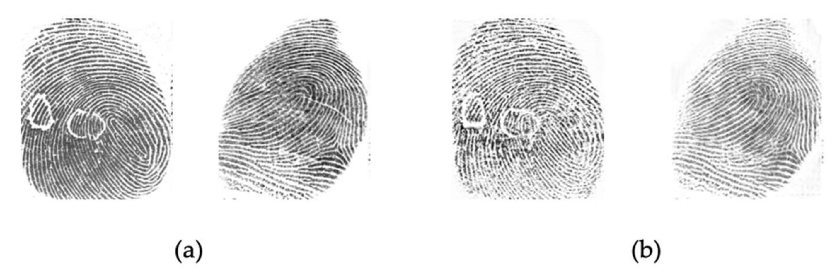 Sensors 21 00699 g010 Sensors 21 00699 g010