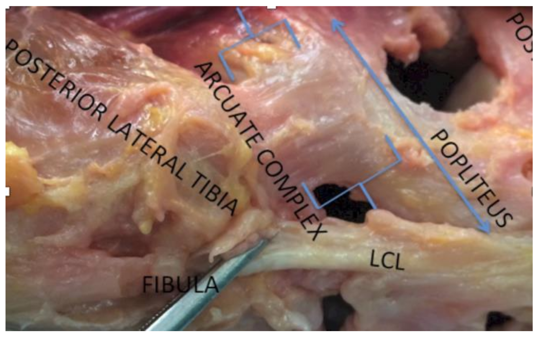 Sensors 21 00700 g001
