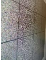 Sensors 21 00701 i001