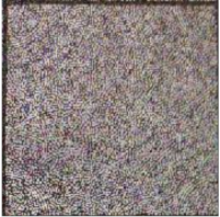 Sensors 21 00701 i008