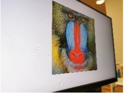 Sensors 21 00701 i067